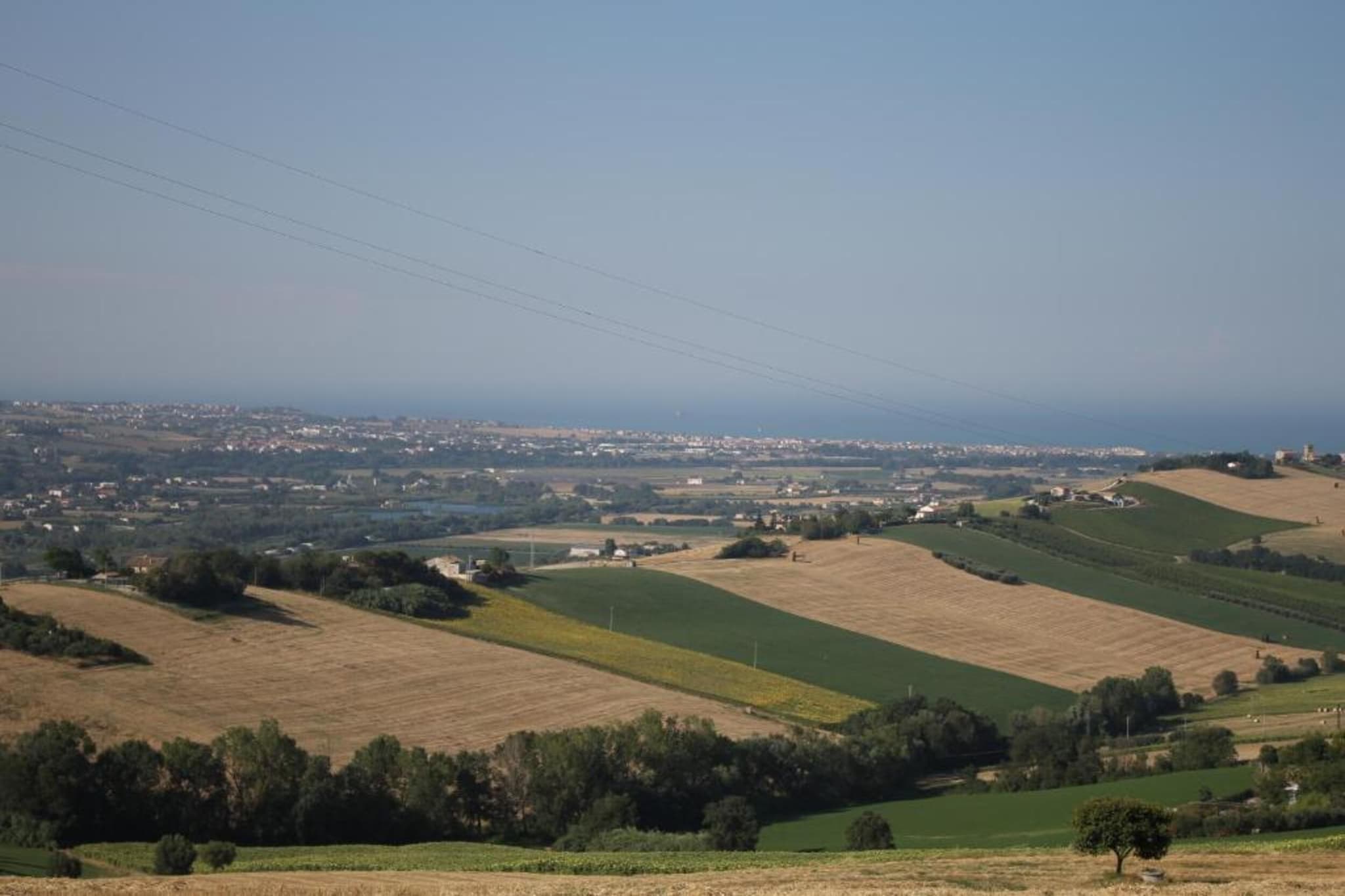Olio-Gebiete Sommer 20 km