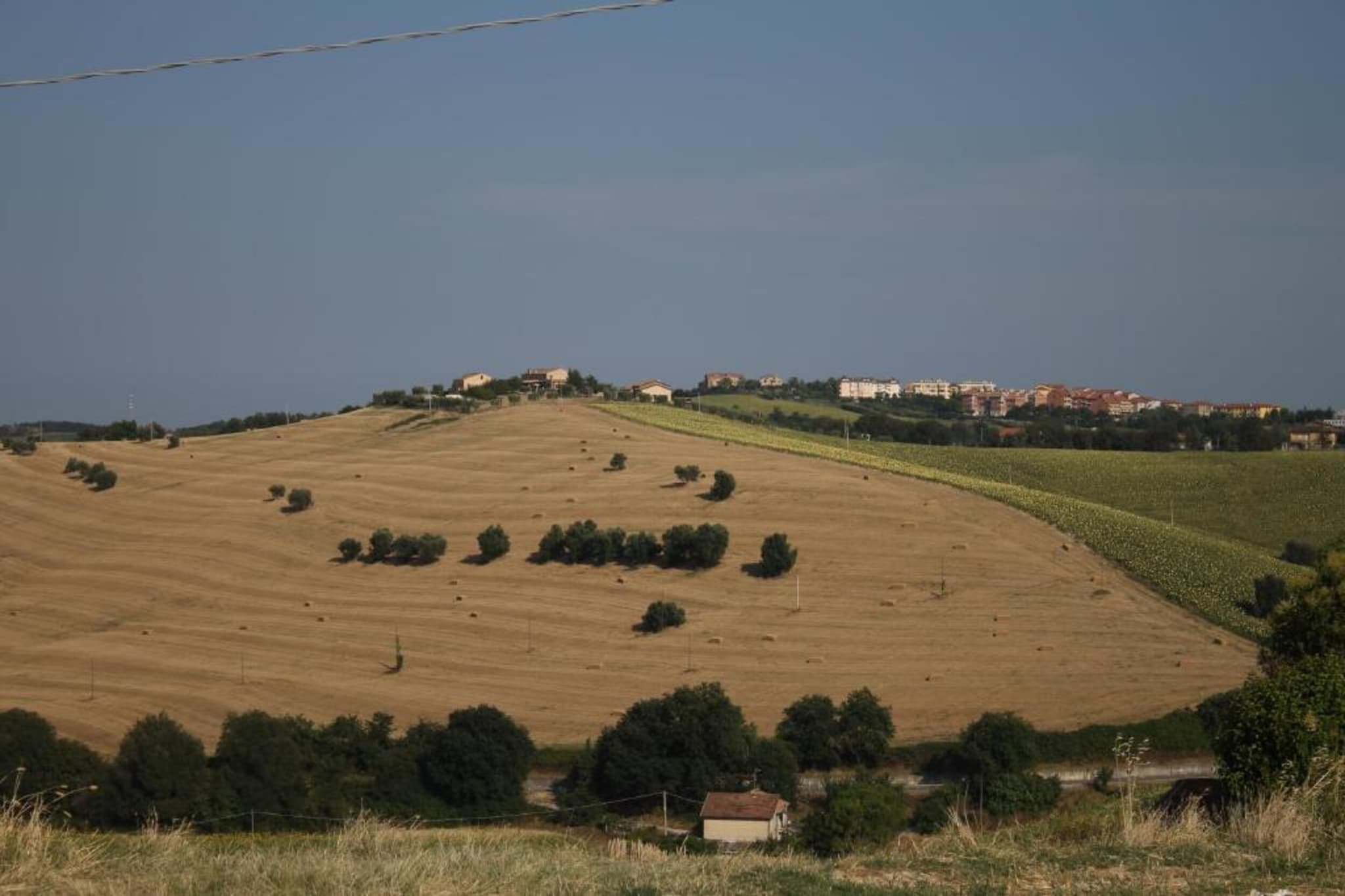 Olio-Gebiete Sommer 20 km