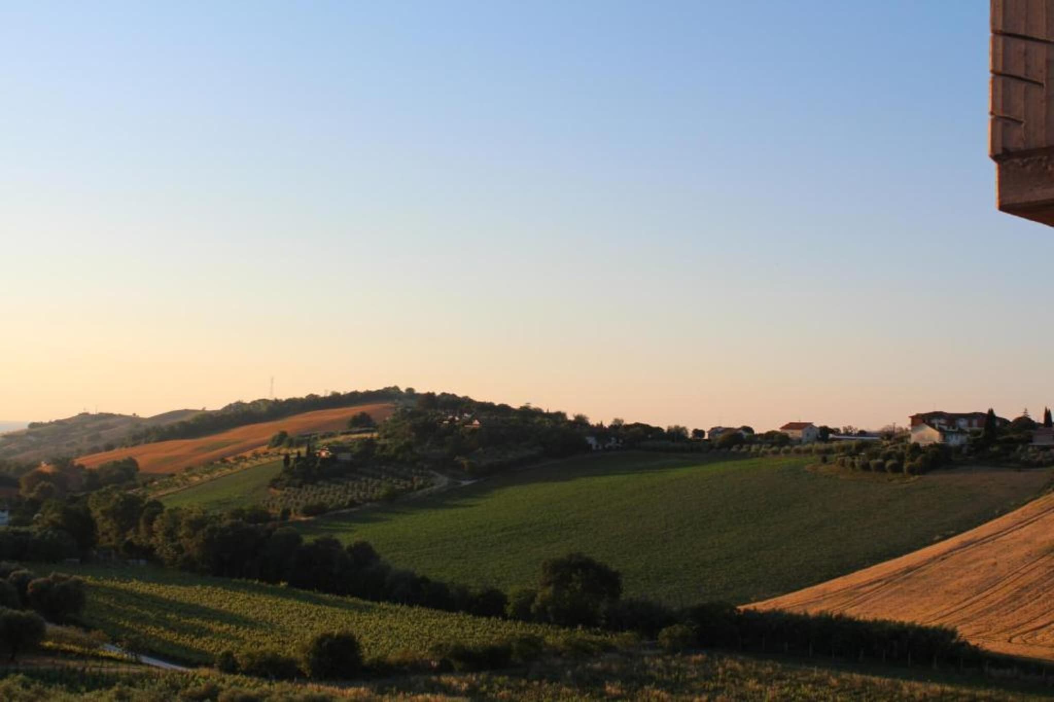 Olio-Gebiete Sommer 20 km