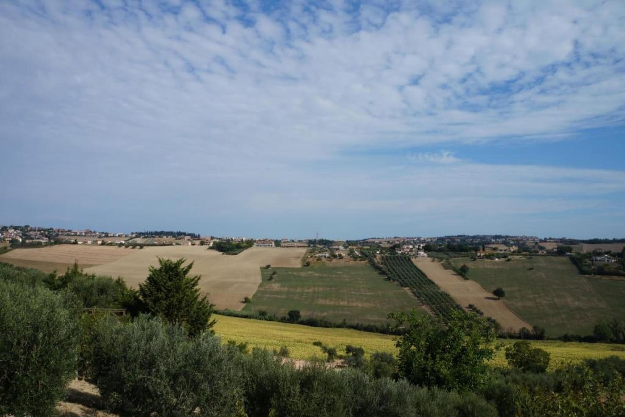 Olio-Gebiete Sommer 20 km