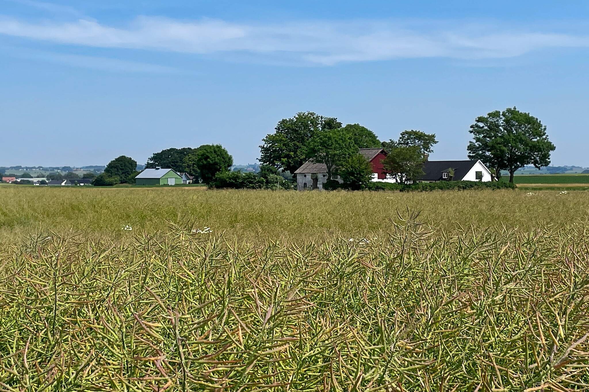 Welcome to this idyllic small farm, perfect for larger groups seeking a secluded spot with stunning views! This well-planned accommodation offers a total of eight beds spread across three bedrooms. Two of the rooms feature comfortable double beds, while the third room has two bunk beds, ideal for children or extra guests. The house boasts an open floor plan that creates a lovely flow and a social atmosphere, perfect for pleasant gatherings and togetherness. There is a bathroom with a shower as well as an additional toilet, making it convenient for everyone in the group to avoid congestion, both in the morning and evening. From the fully equipped kitchen, you can access a fantastic patio with a breathtaking view. Here, you can enjoy your morning coffee or relax in the evening while taking in the peaceful surroundings. This patio is a true haven for relaxation and enjoyment. The large garden also makes it ideal for play and other activities. Discover the enticing southern coast of SkÃ¥neâ€”a gem for nature lovers and culture explorers! This region offers a unique blend of scenic landscapes, picturesque coastal towns, and a rich cultural history. There is something for everyone, whether you're an adventure seeker, a food enthusiast, or simply looking for relaxation by the sea. For nature lovers, there are countless opportunities to explore the beautiful beaches and coastline. Enjoy sunny days on the white sandy beaches, take a refreshing swim in the clear blue sea, or go for a relaxing walk along the coastal path, where you'll be rewarded with breathtaking views and fresh sea air. Explore the small fishing villages with their colorful houses, cozy cafÃ©s, and local craft shops. Take a guided tour through the historic town centers and learn more about SkÃ¥ne's fascinating past. Visit farm shops and food markets where you can buy local delicacies to take home. Don't forget to try some of the famous SkÃ¥ne wines and apple ciders produced in the region. For adventure seekers, there are exciting activities to explore along the southern coast. Sail out on the open sea, go on a fishing trip, or rent a bike and explore the surrounding landscape. For those interested in birdwatching, the southern coast is a true dream destination, with many bird sanctuaries and reserves to explore. We look forward to welcoming you and your group to this lovely farm, where a memorable and relaxing stay awaits!