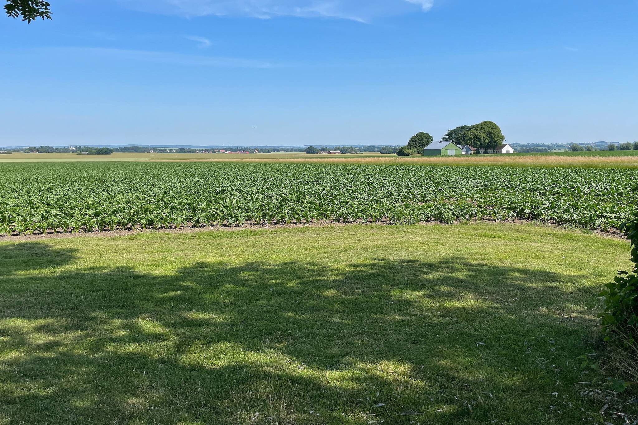 Internet Access DSL, Living room, Kitchen(cooker(electric), coffee machine, oven, microwave, fridge-freezer, high chair), Living/bed room(TV, chromecast), bedroom(double bed), bedroom(double bed), bedroom(4x bunk bed), bathroom(washbasin, shower, toilet, washing machine), bathroom(washbasin, toilet), heating(central), garden, garden furniture, geothermal energy