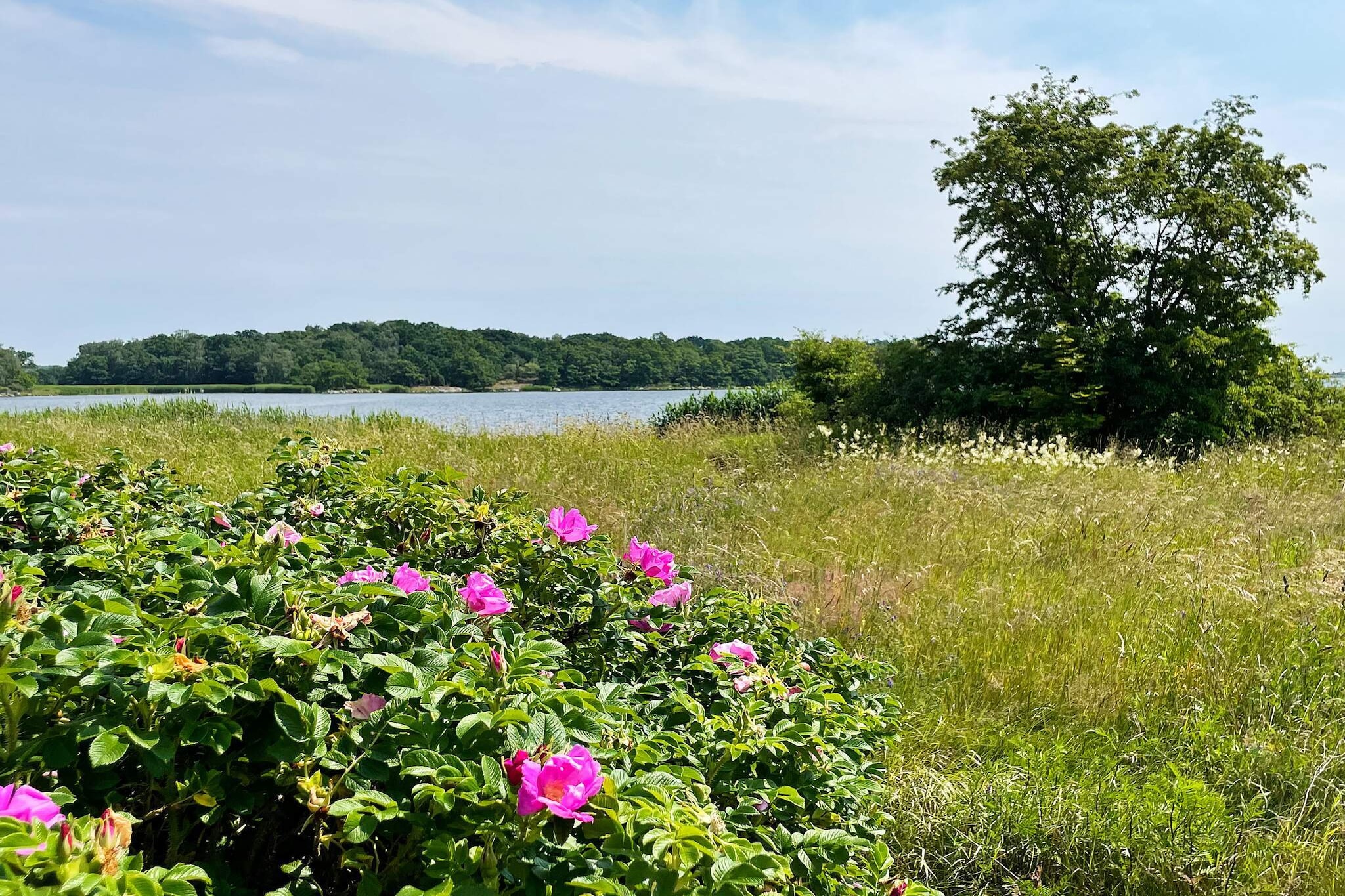 4 sterren vakantie huis in MÖRRUM - Buitenlucht