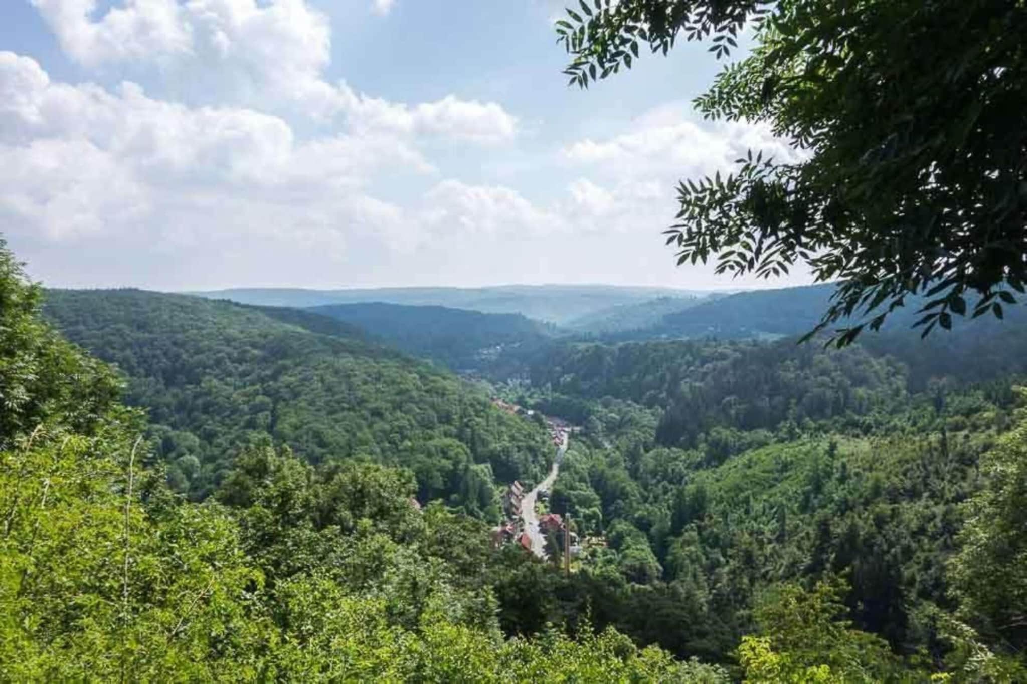 Ferienwohnung Thale-Zones d'été à 5 km