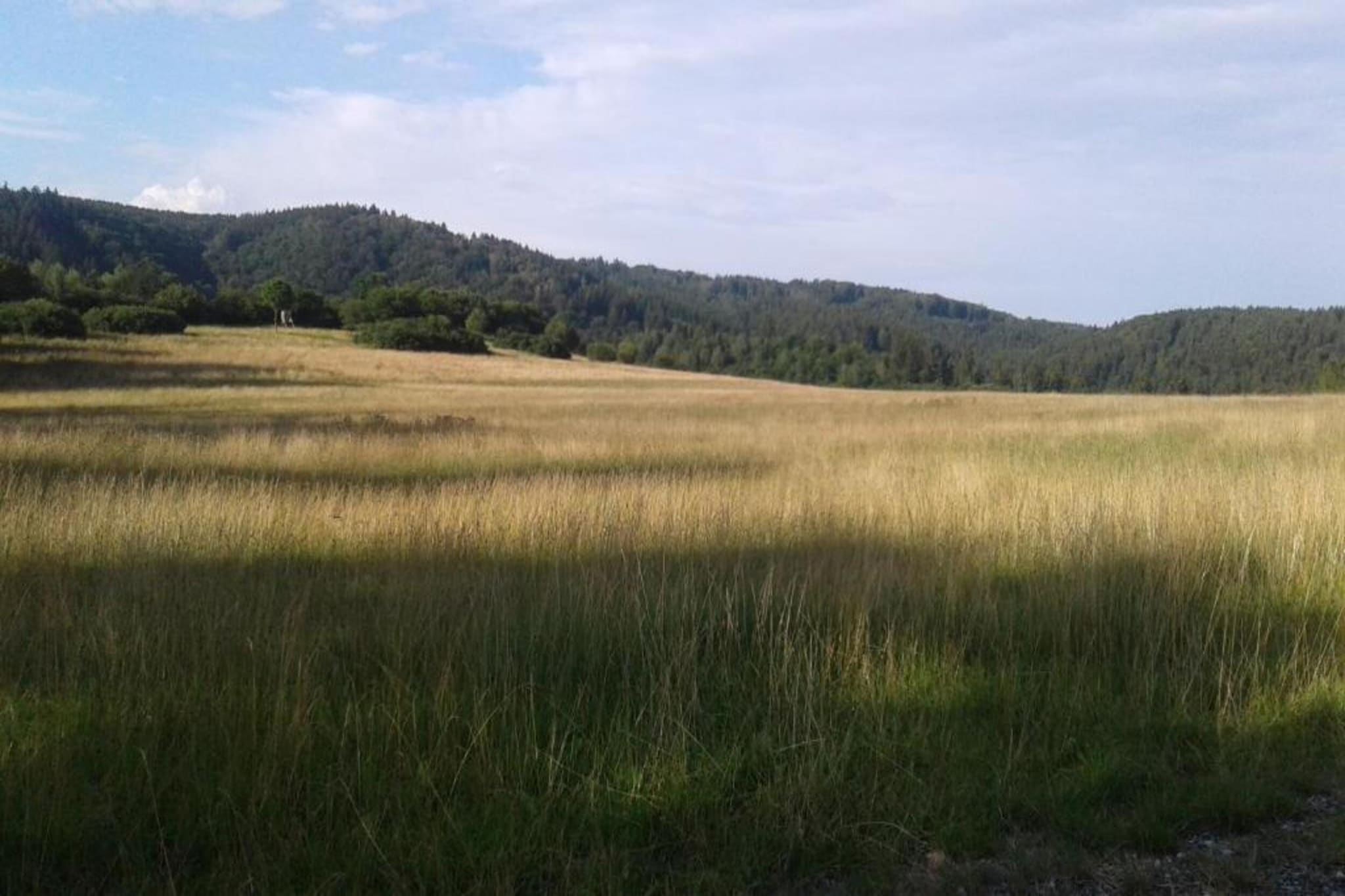 Ferienwohnung Thale-Zones d'été à 5 km