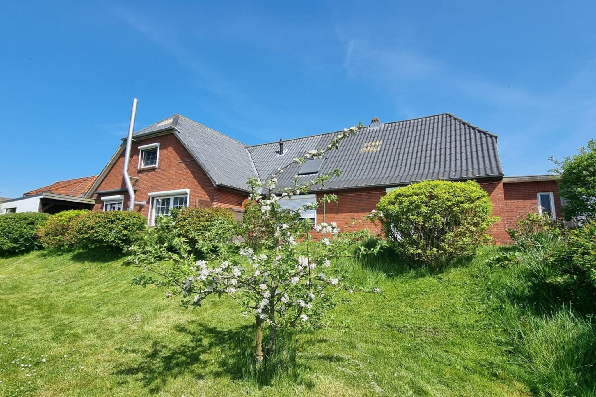 The "Doc un Katt" is a 75 sqm holiday apartment (semi-detached house) on Nordstrand. It is ideal for 1-2 people, but can be extended to accommodate up to 3 people.
The main rooms are all on the ground floor. There is 1 living room with dining area with a view of the garden and marsh, 1 bedroom (a 2nd bedroom can be added on request), 1 fully equipped kitchen (induction stove/microwave) with dining area and 1 shower room with underfloor heating. On the terrace there is a charcoal kettle grill for lovely barbecue evenings at sunset. Suitable for long-term stays, a discount can be discussed.