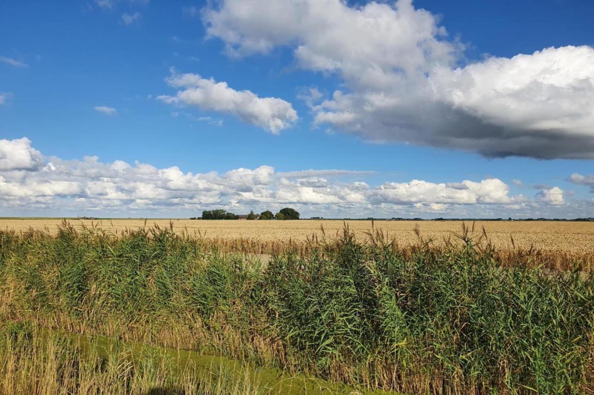 Standaard 24-Gebiete Sommer 20 km