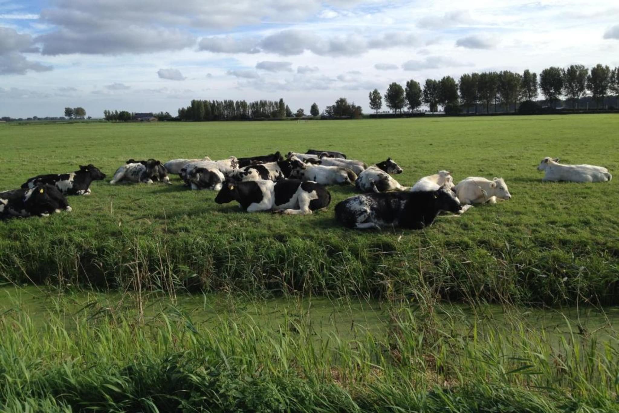 006 vrij toegankelijk-Gebieden zomer 20km