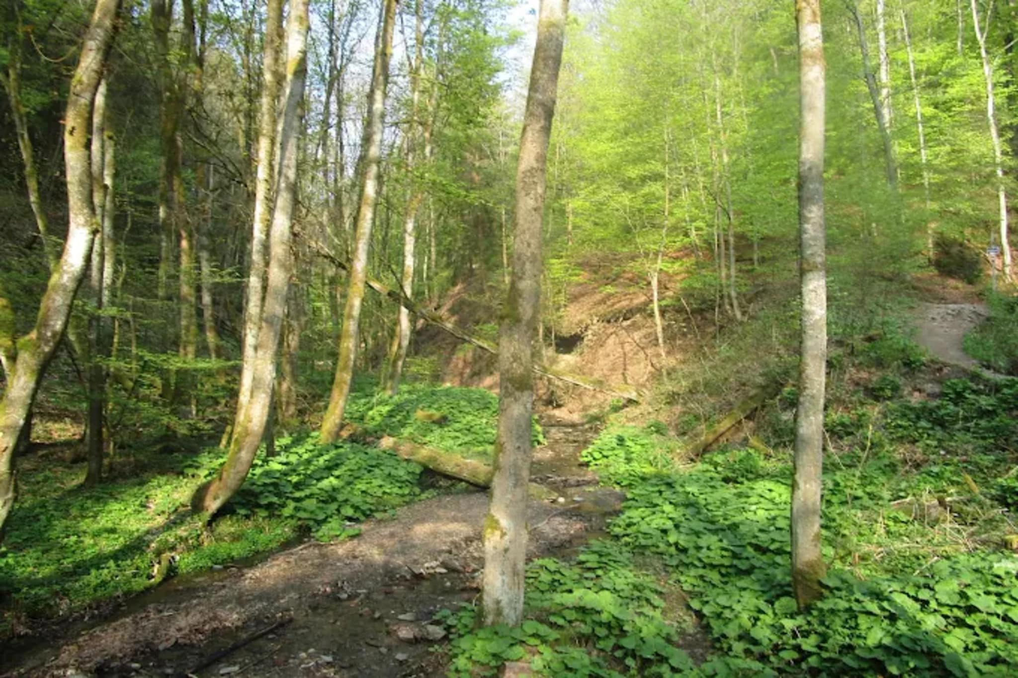 Appartement Heideblick-Gebieden zomer 5km