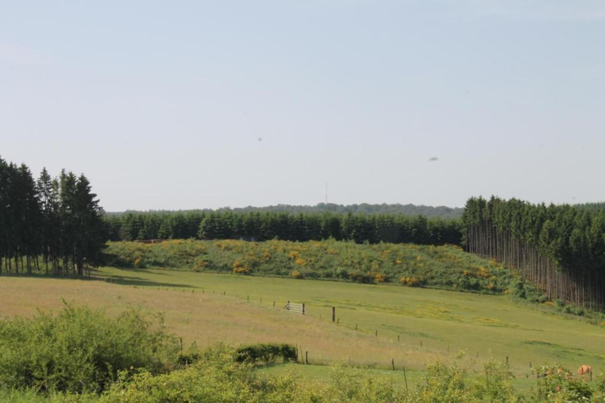 De Markestee chalet 3-Gebieden zomer 20km
