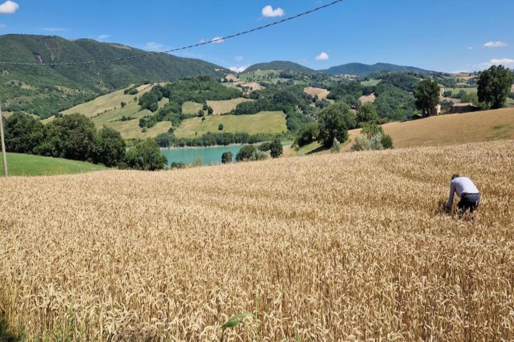 Binnella 10-Gebieden zomer 20km