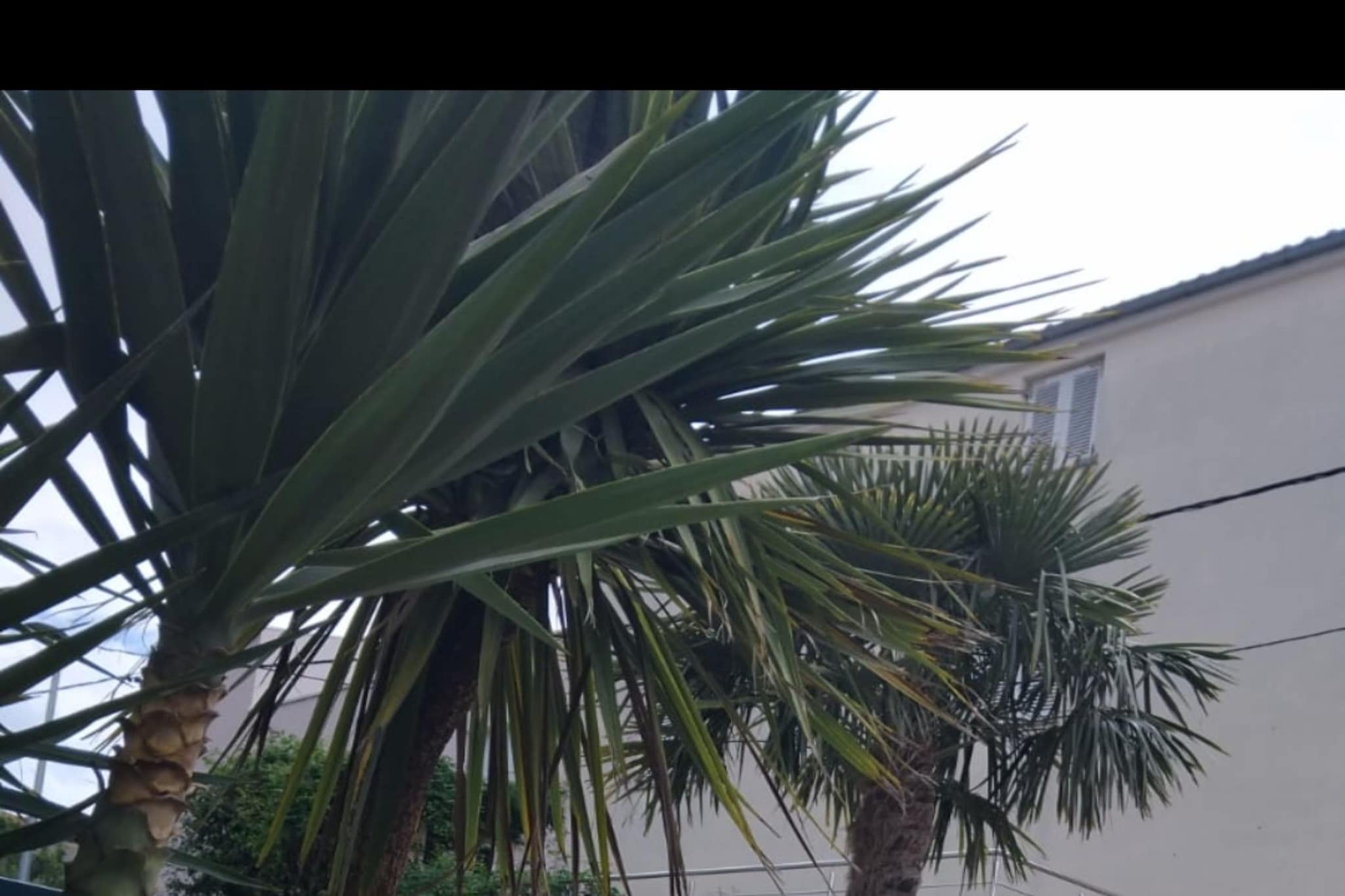 Villa Marija - Five Bedroom Villa with Terrace and Swimming Pool-Garten Sommer