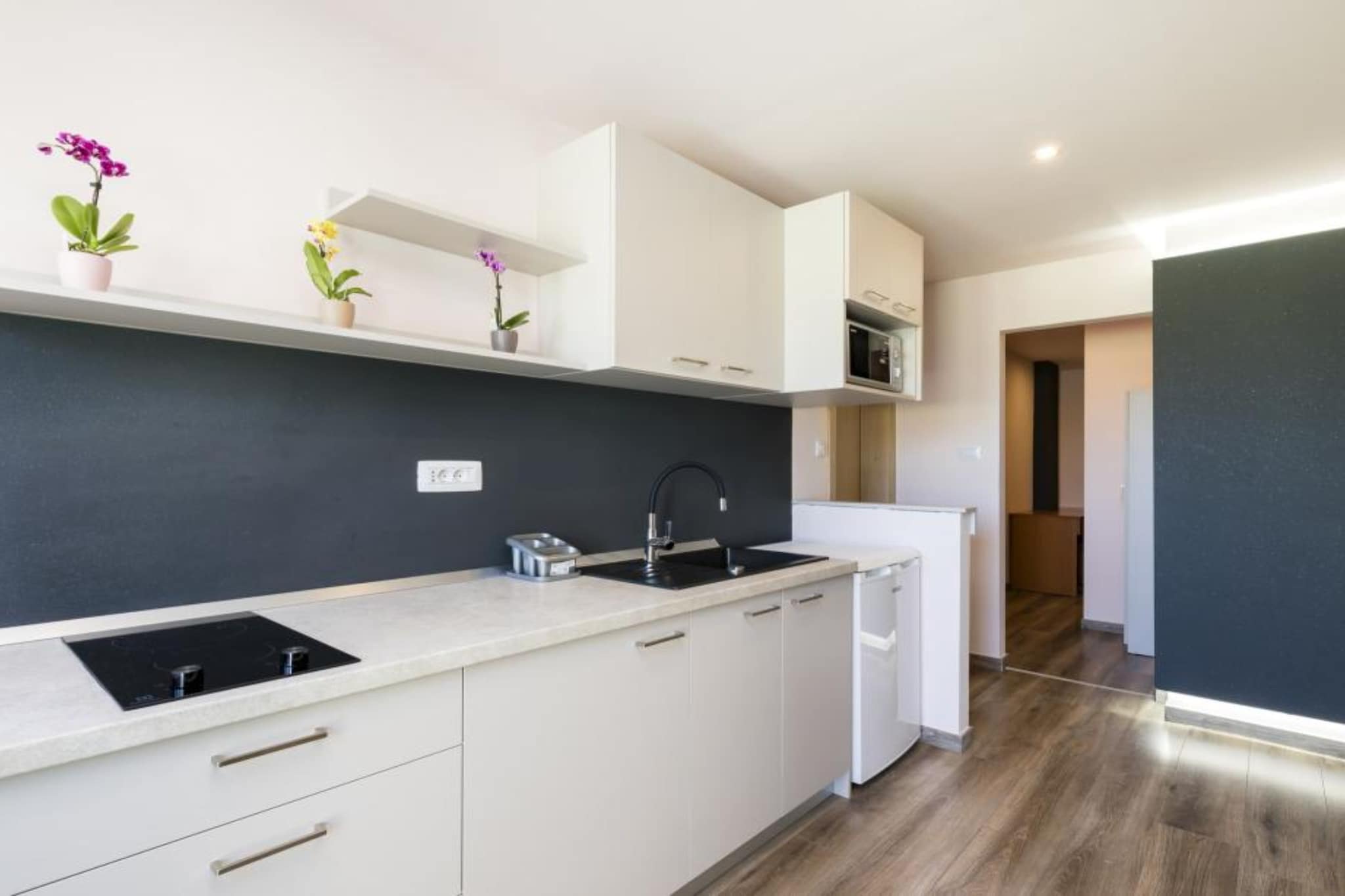 Pansion Belvedere - One Bedroom Apartment with Terrace (Vespera)-Cuisine