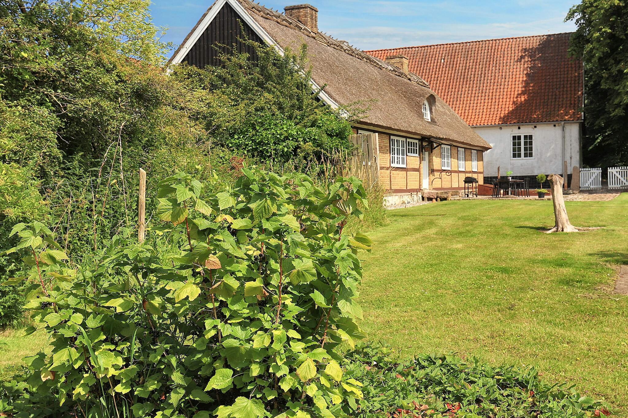 6 persoons vakantie huis in Store Heddinge - Uitzicht