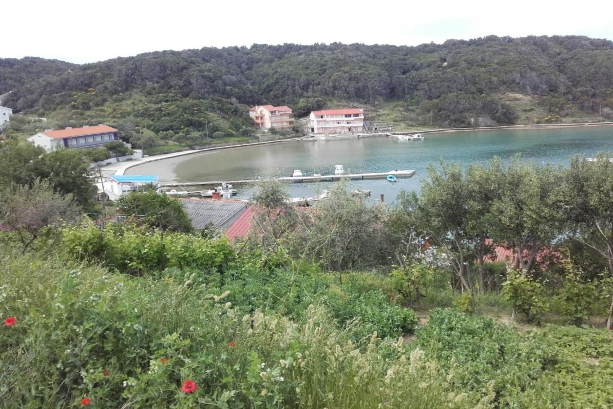 Guest House Green Corner Supetarska Draga - Studio Apartment with Terrace And Sea View-Extérieur