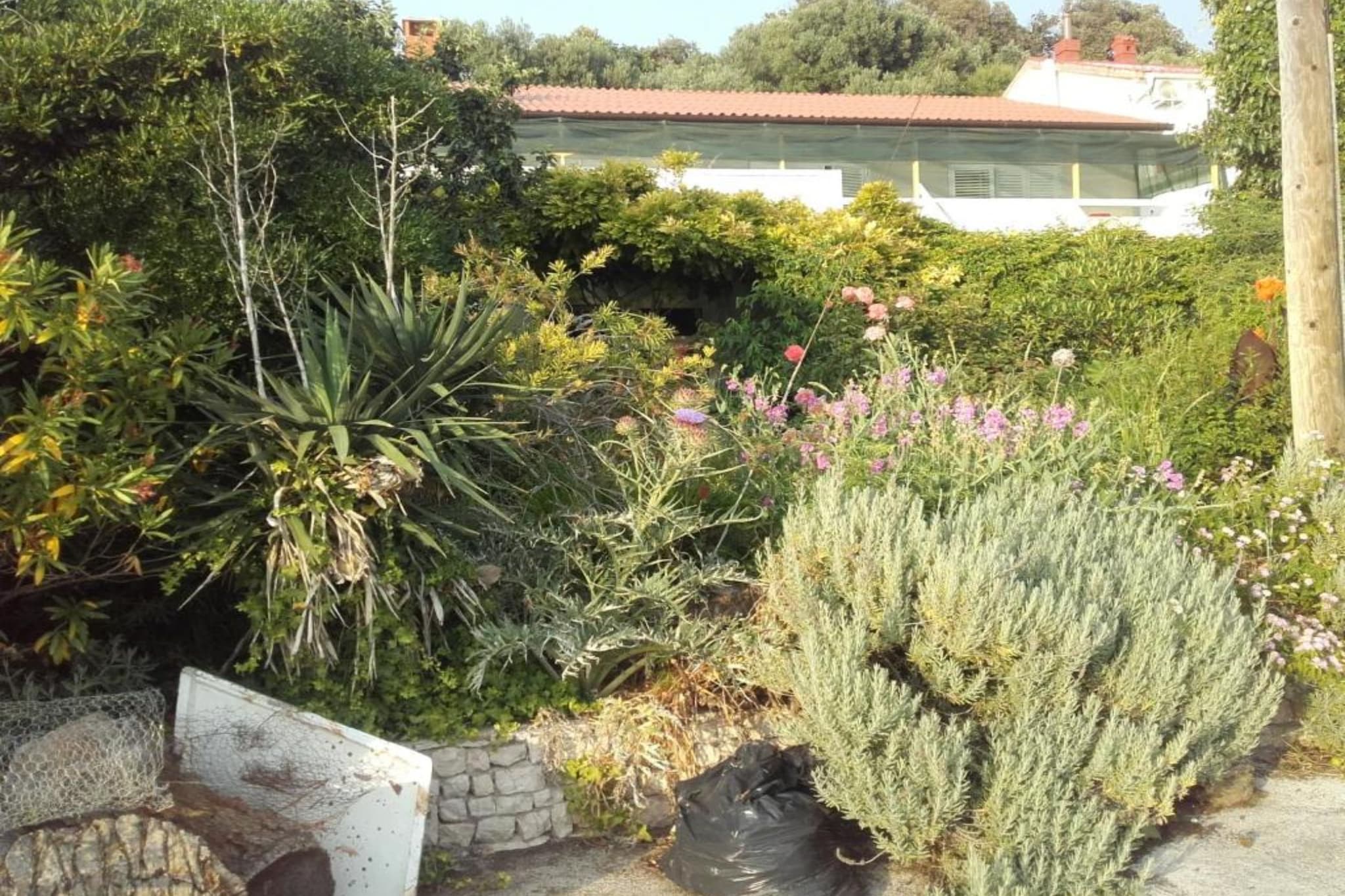 Guest House Green Corner Supetarska Draga - Studio Apartment with Terrace And Sea View-Extérieur