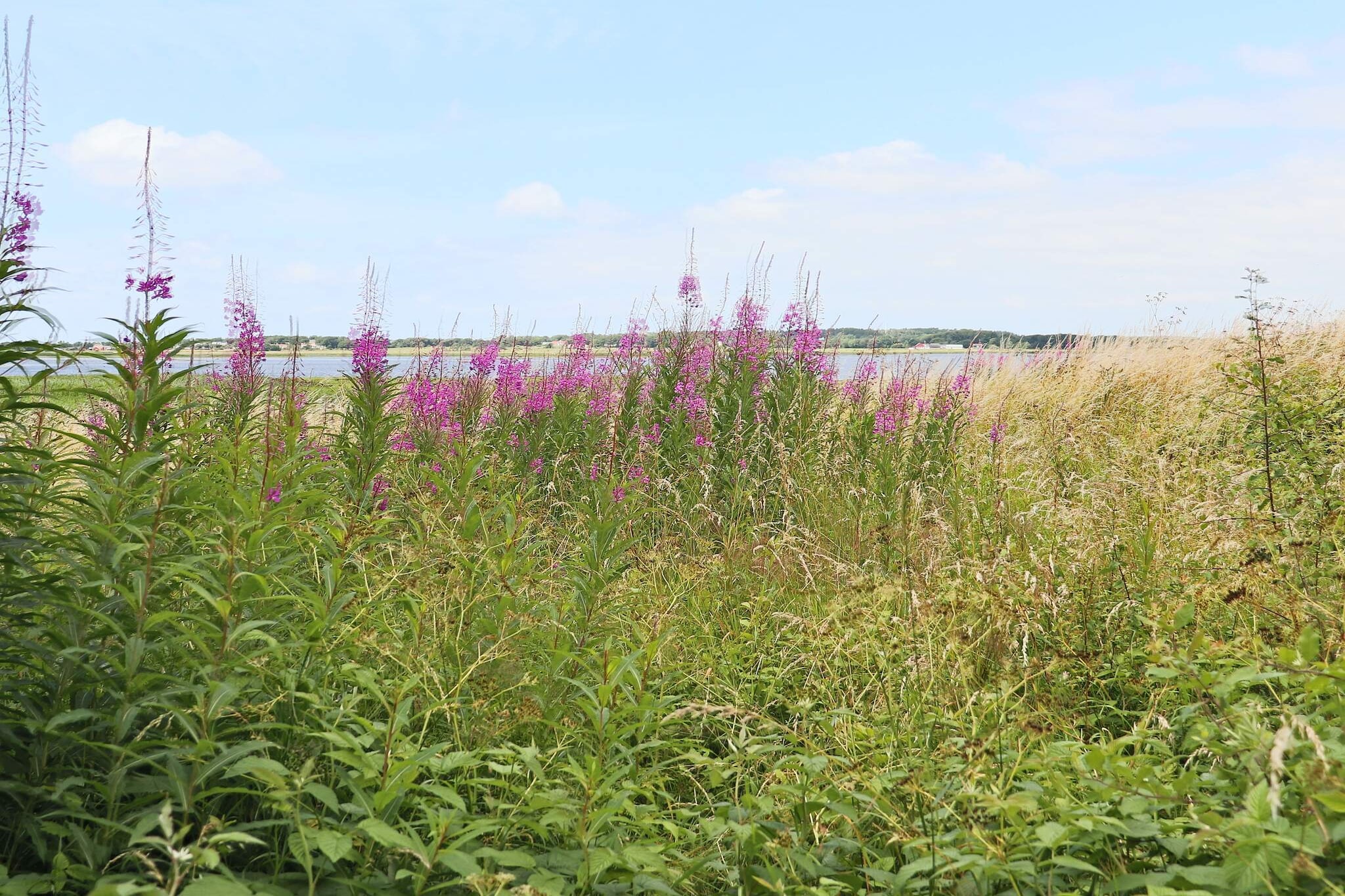 4 star holiday home in VARBERG - Untagged