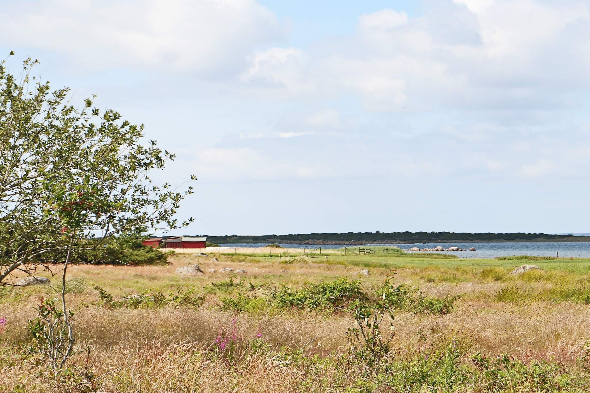 4 star holiday home in VARBERG - Untagged