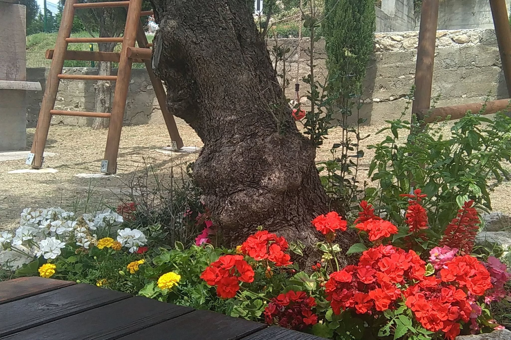Apartments Danijela & Vlado - One Bedroom Apartment with Balcony and  Garden View