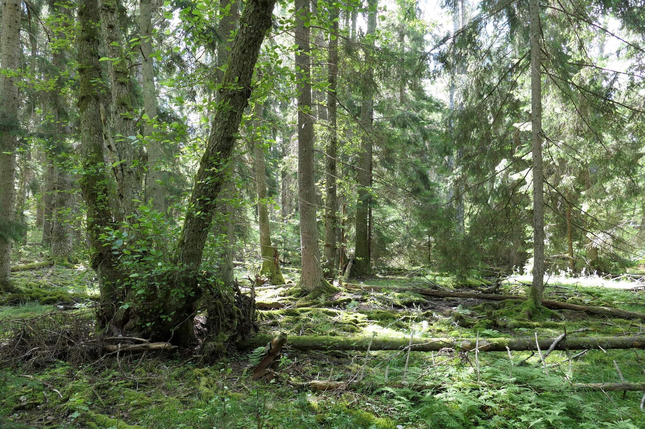 4 Sterne Ferienhaus in VÄRMDÖ-Nicht zugeordnet