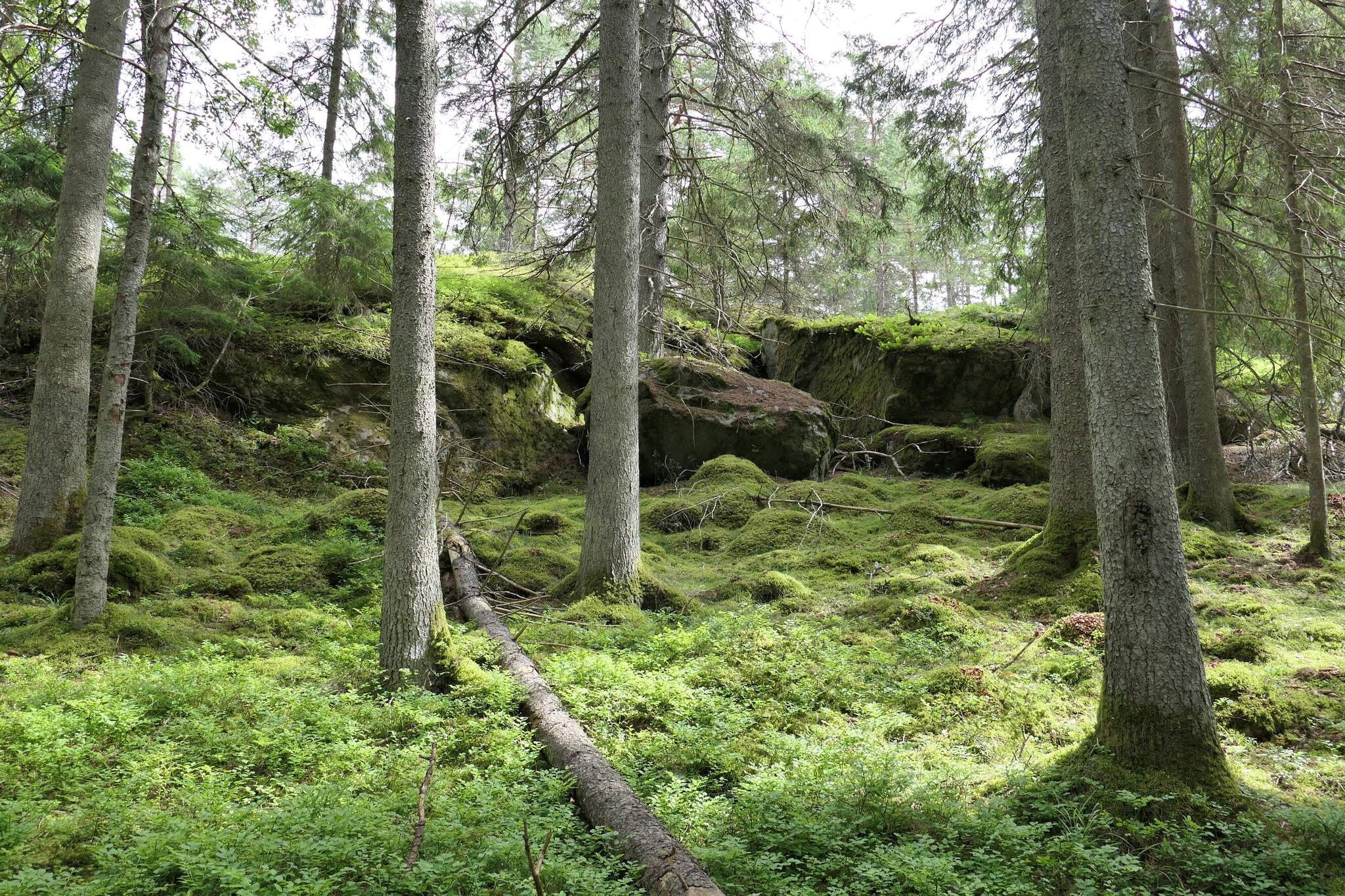 4 Sterne Ferienhaus in VÄRMDÖ-Nicht zugeordnet