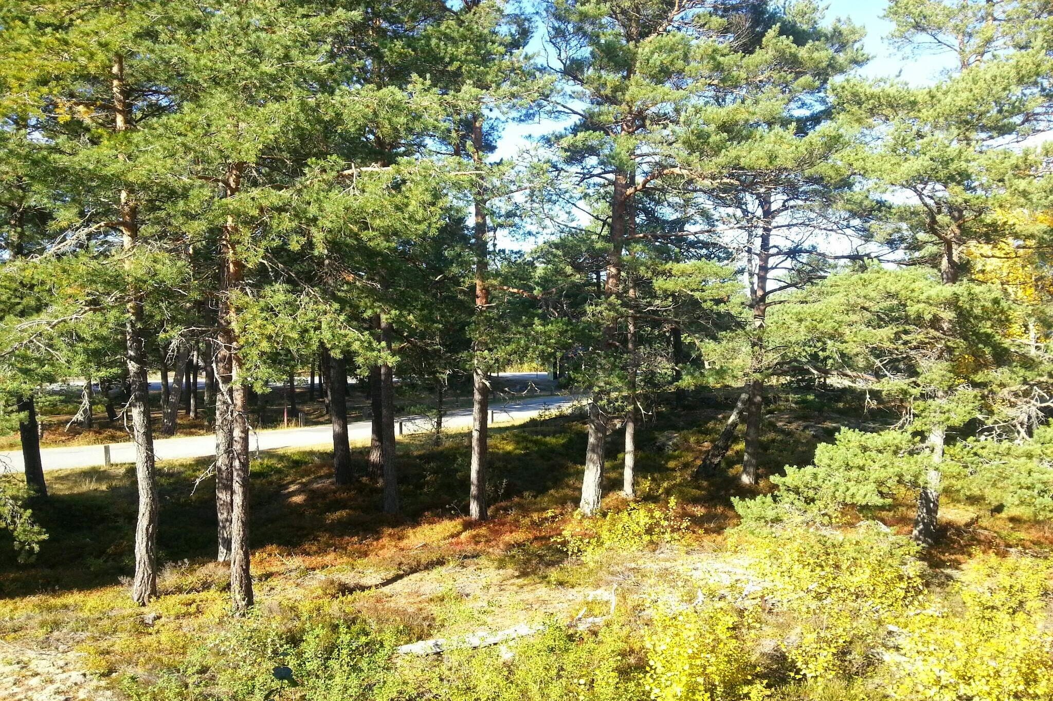 4 Sterne Ferienhaus in VÄRMDÖ-Nicht zugeordnet