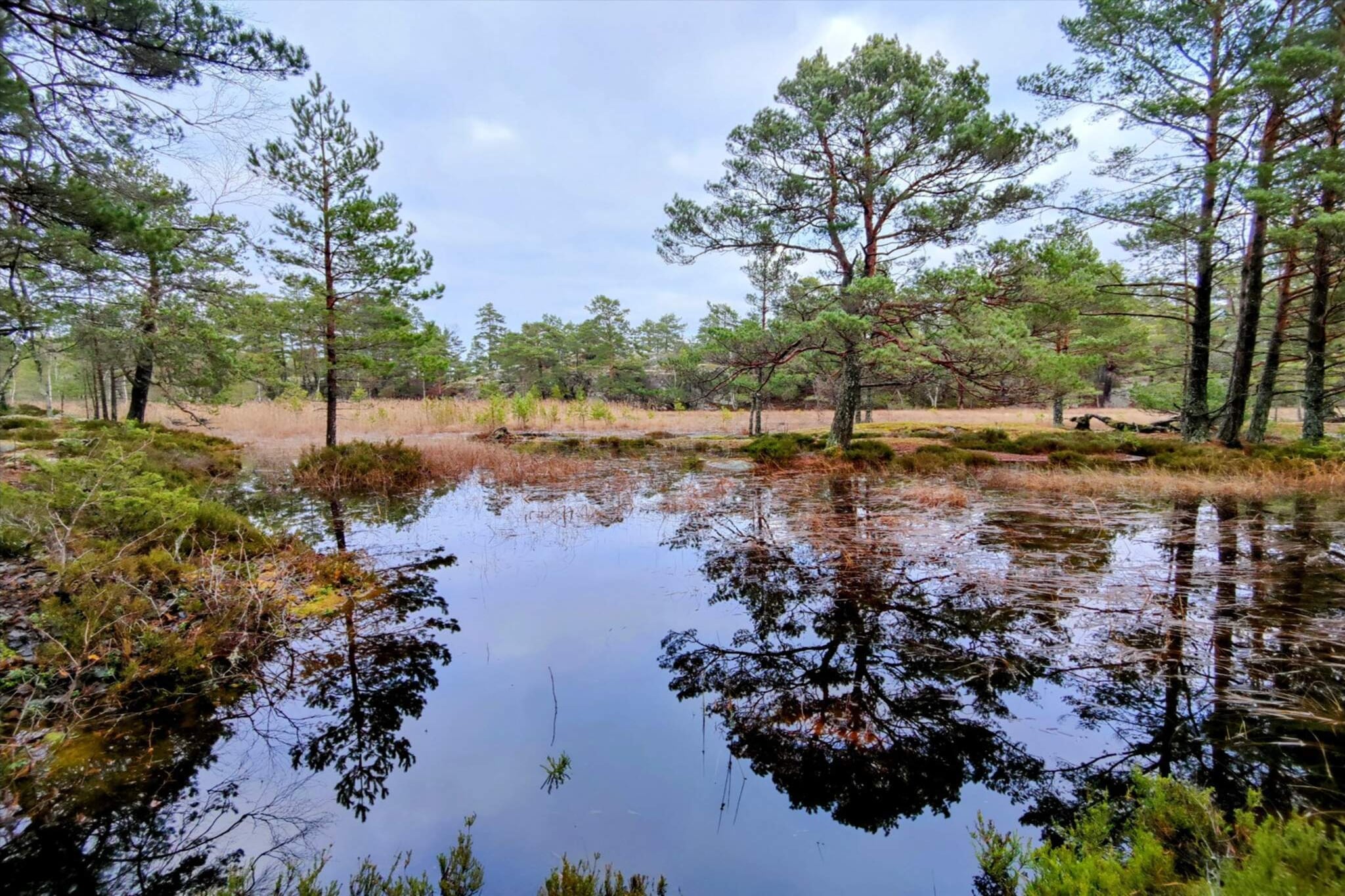 4 Sterne Ferienhaus in VÄRMDÖ-Wasserblick