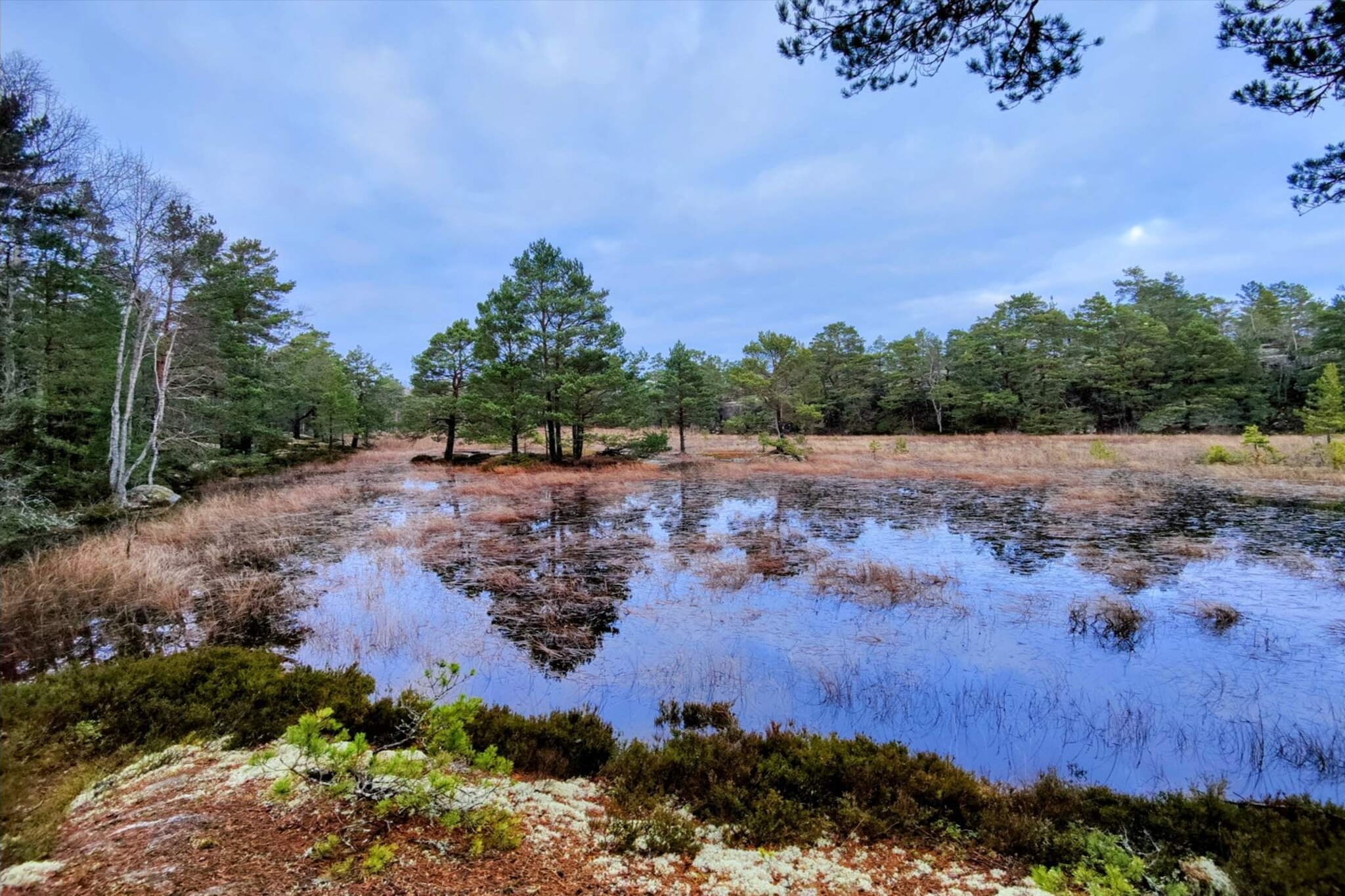 4 Sterne Ferienhaus in VÄRMDÖ-Wasserblick