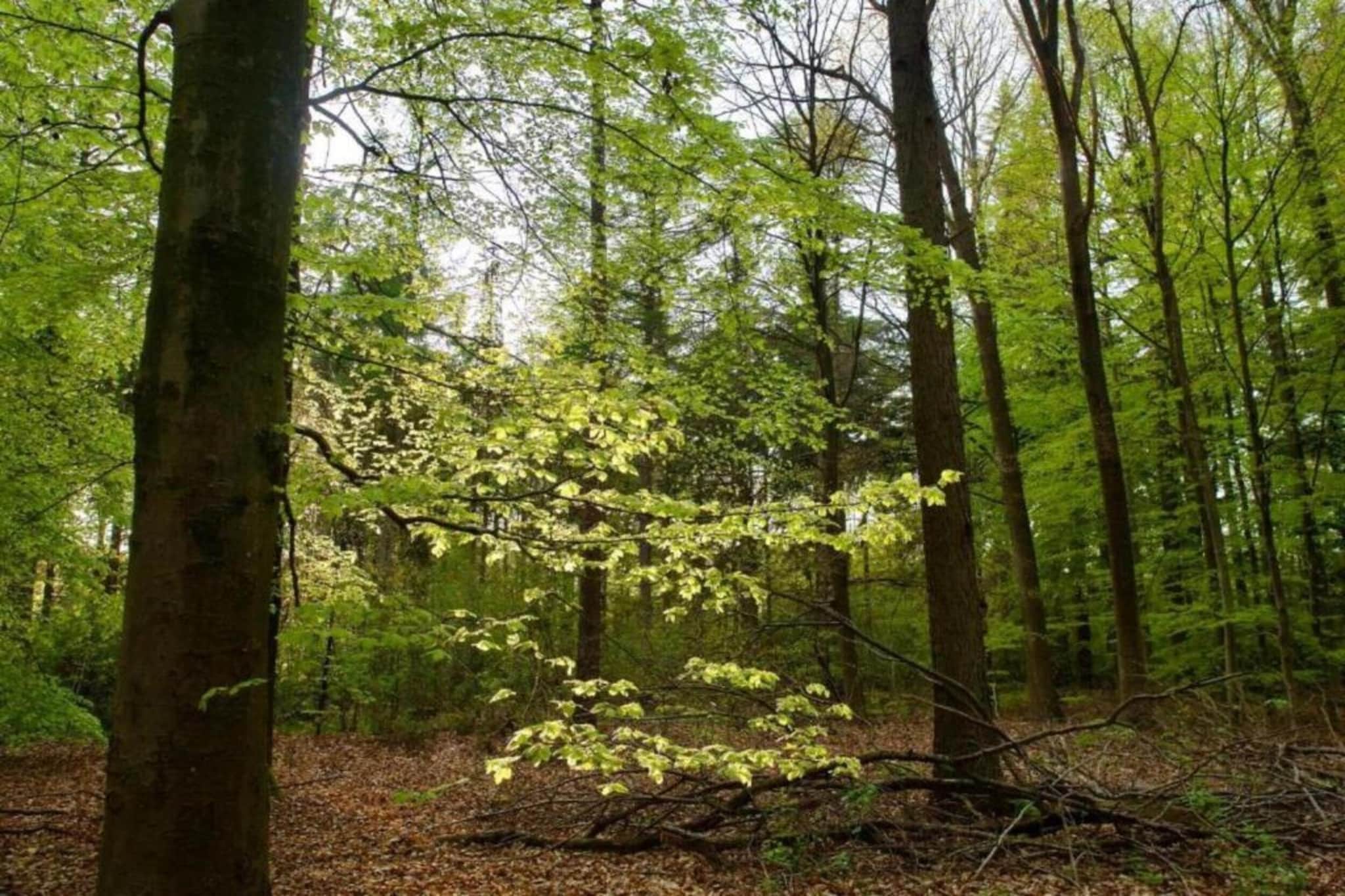 4-persoons bungalow Sondel 16-Zones d'été à 5 km