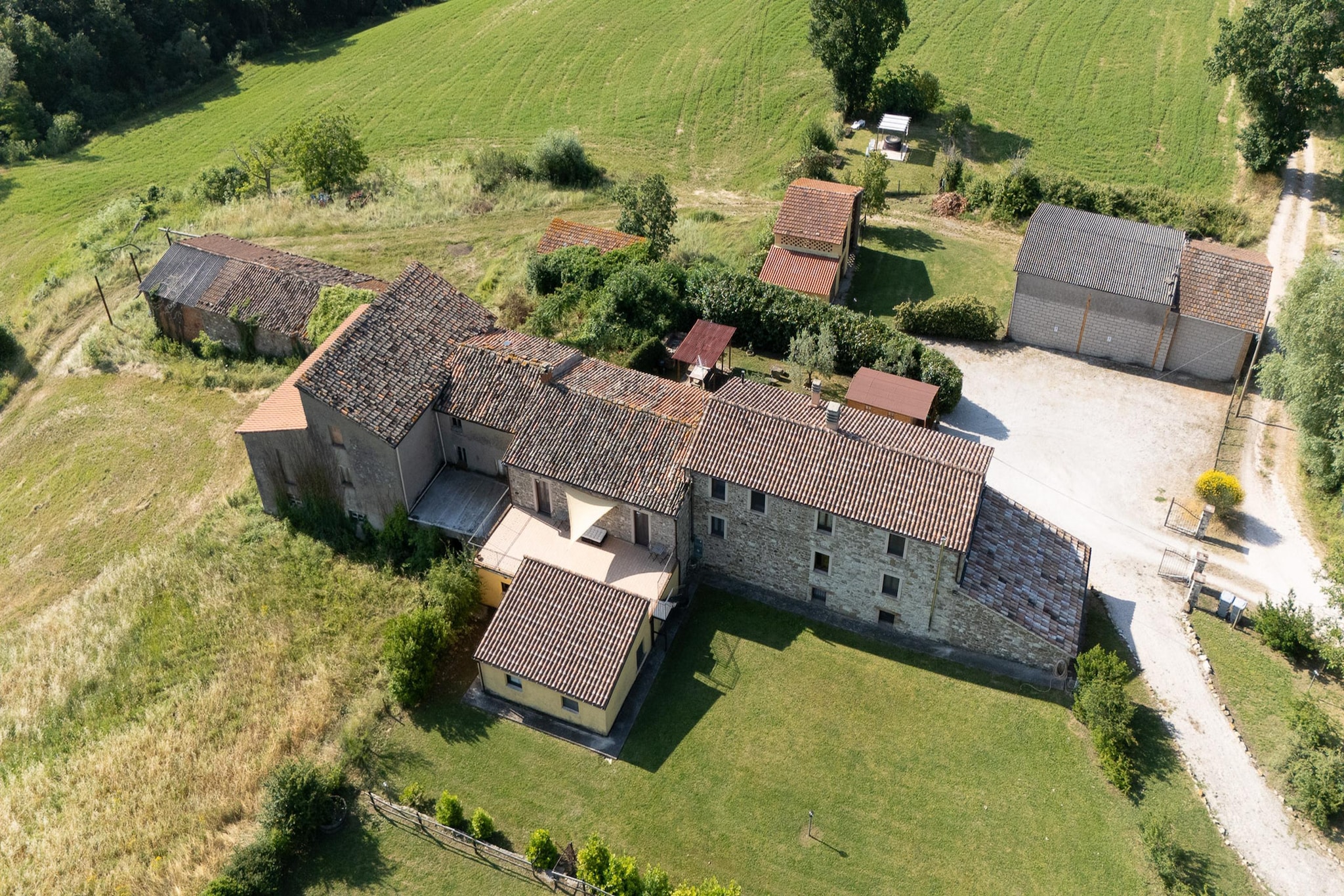 Dai Du Bourdei