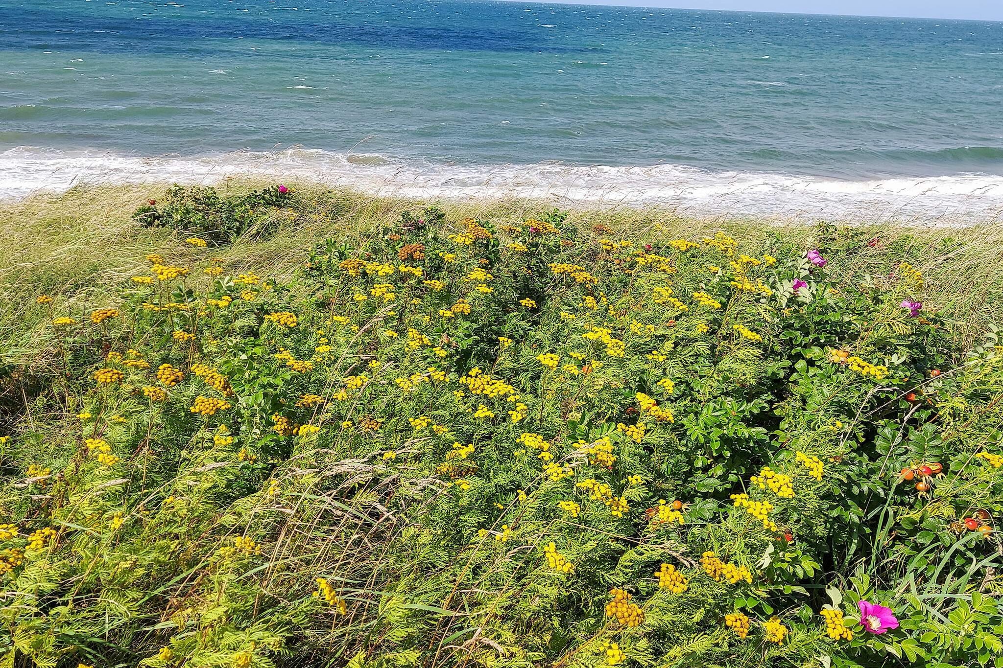 4 persoons vakantie huis in Gilleleje-By Traum - Waterzicht