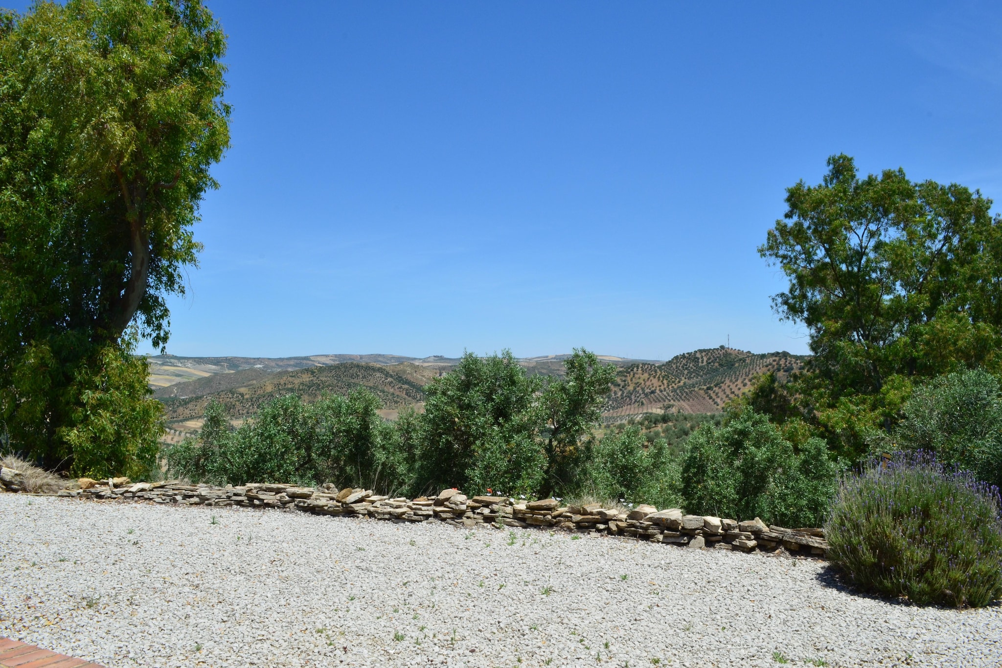 Cortijo Rosario-Gebieden zomer 1km