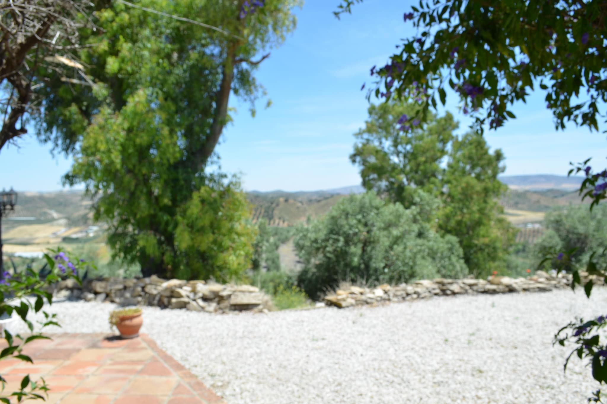 Cortijo Rosario-Gebieden zomer 1km