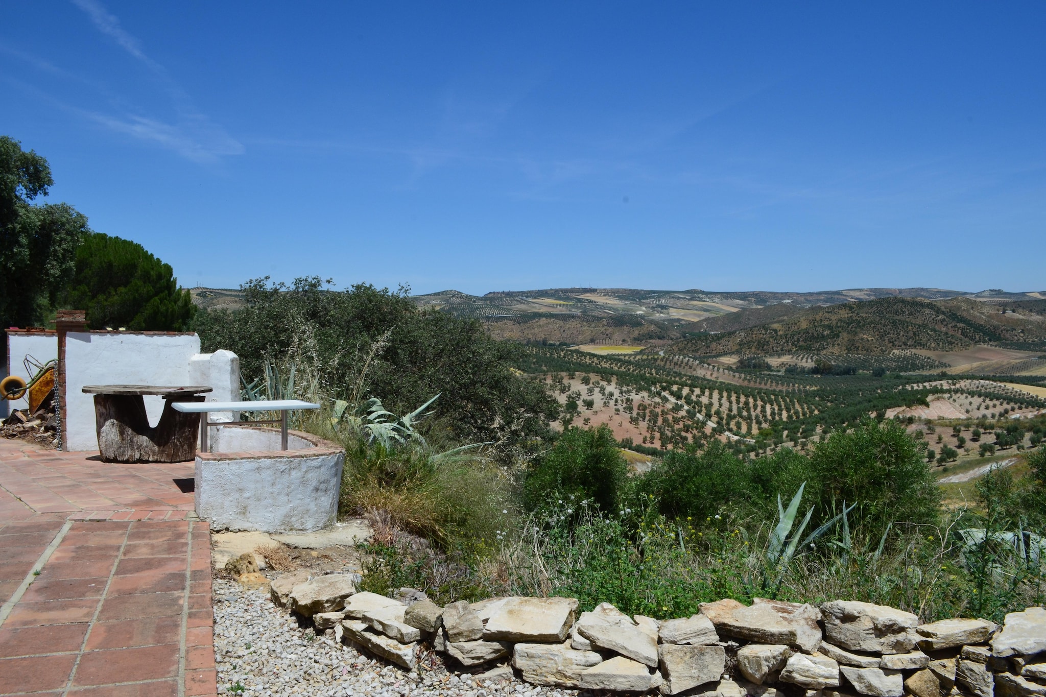 Cortijo Rosario-Gebieden zomer 1km