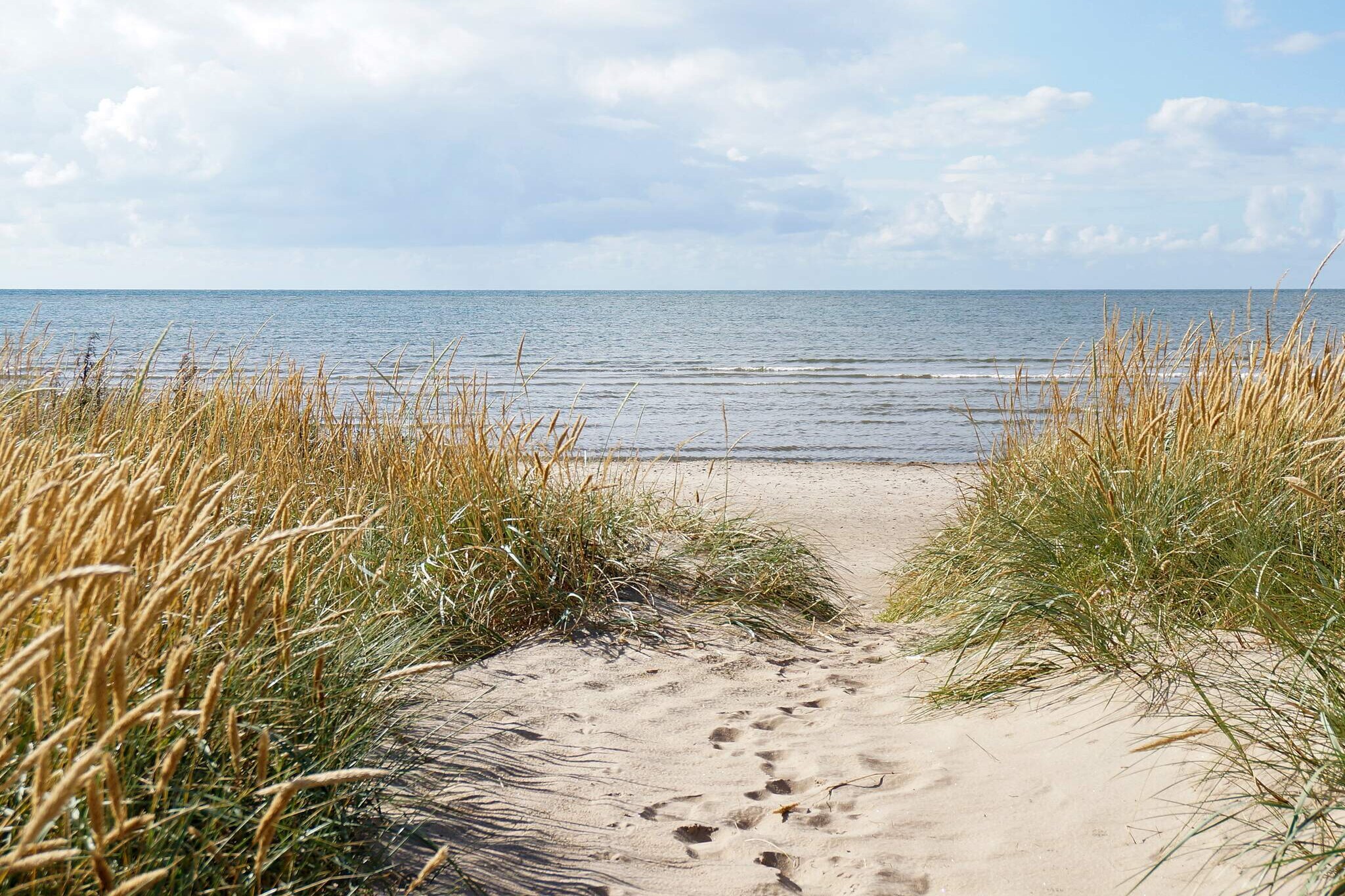 4 Personen vakantie huis in FALKENBERG - Niet-getagd