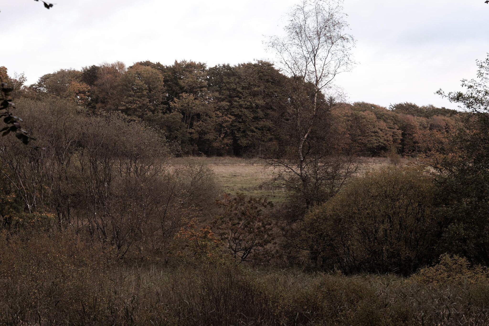 4 sterren vakantie huis in Hovborg-By Traum-Niet-getagd