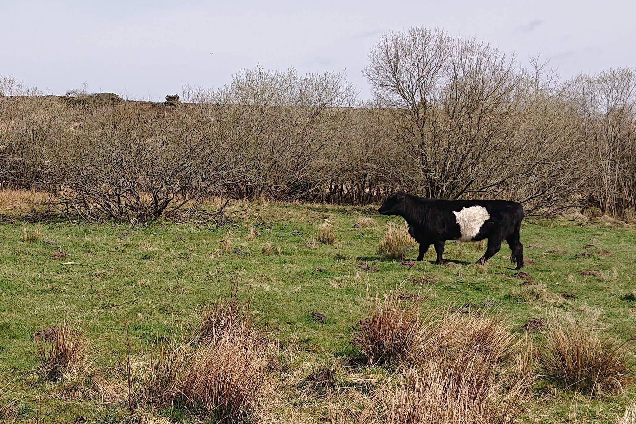 4 sterren vakantie huis in Hovborg-By Traum-Niet-getagd