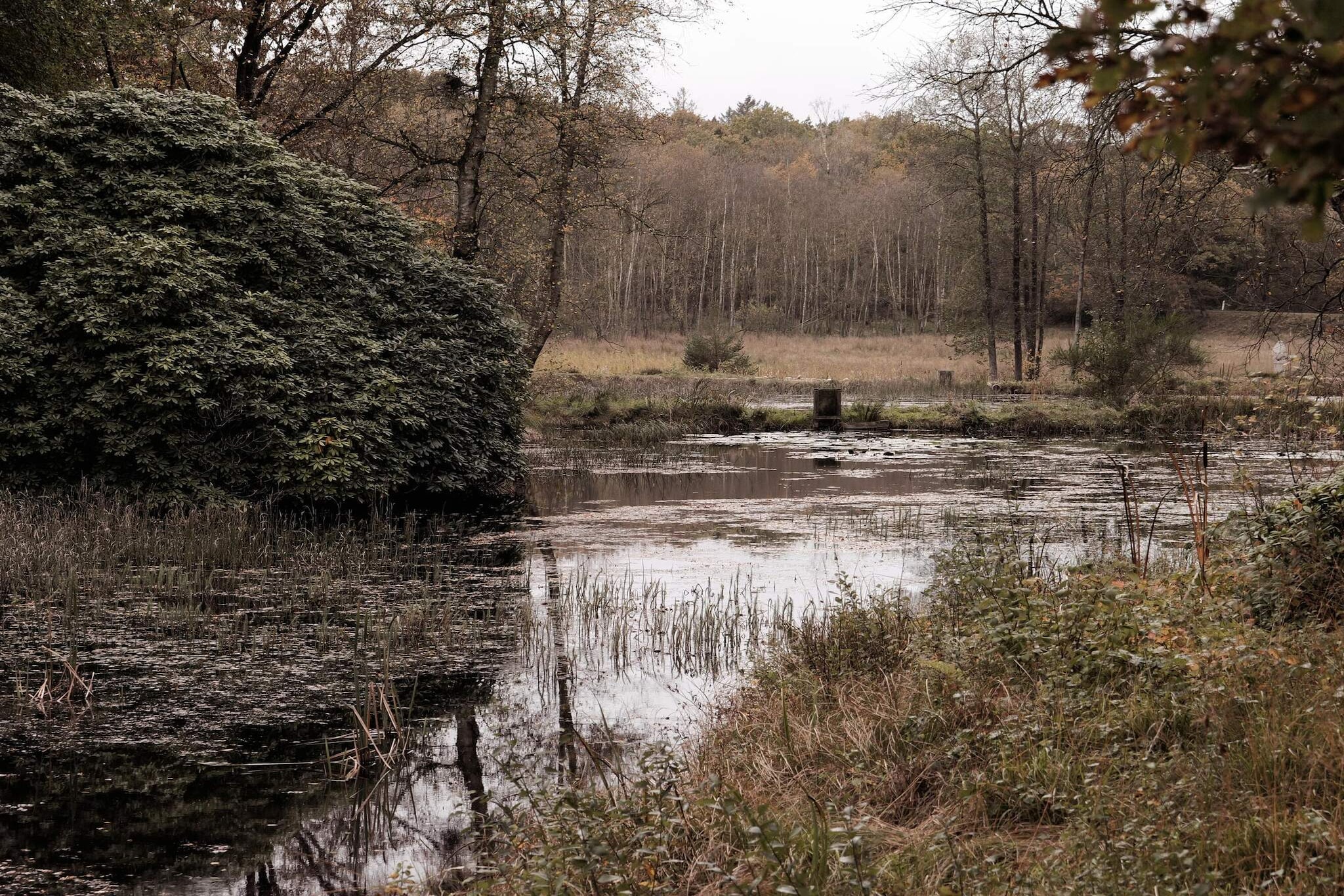 4 sterren vakantie huis in Hovborg-By Traum-Waterzicht