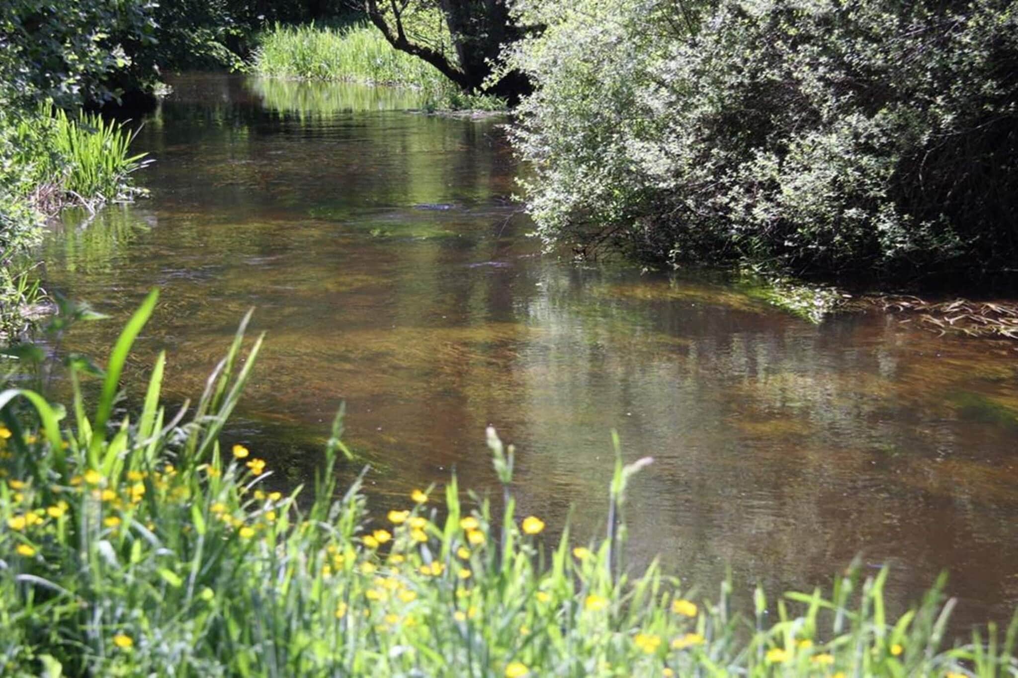 4 sterren vakantie huis in Hovborg-By Traum-Waterzicht