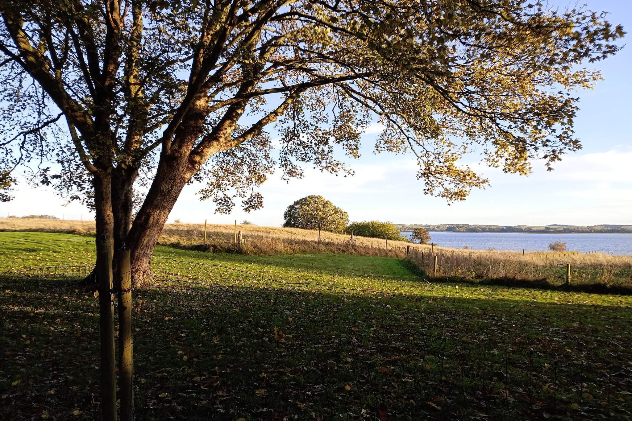 6 person holiday home in Grevinge-By Traum-Untagged