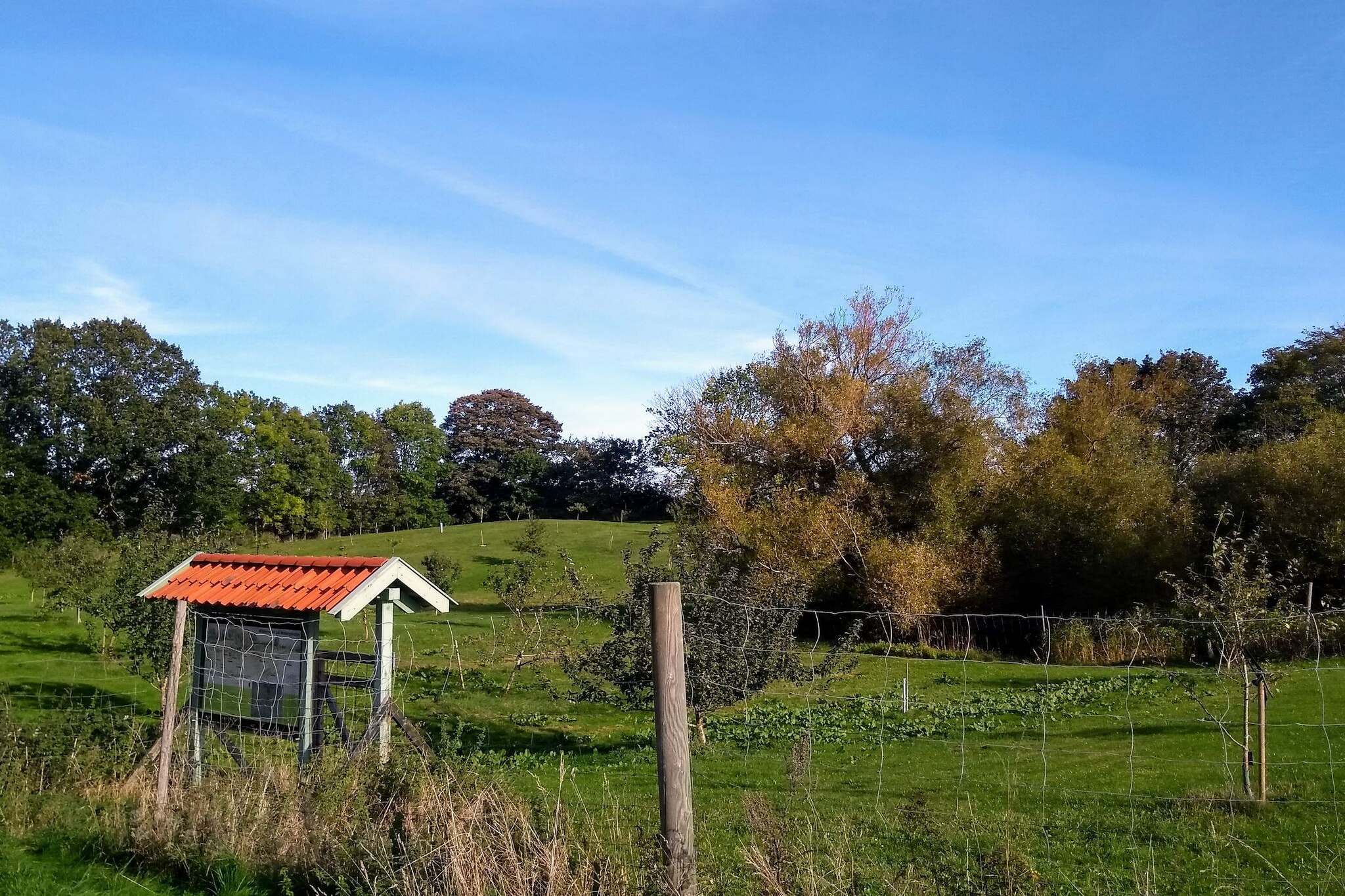 6 person holiday home in Grevinge-By Traum-Untagged