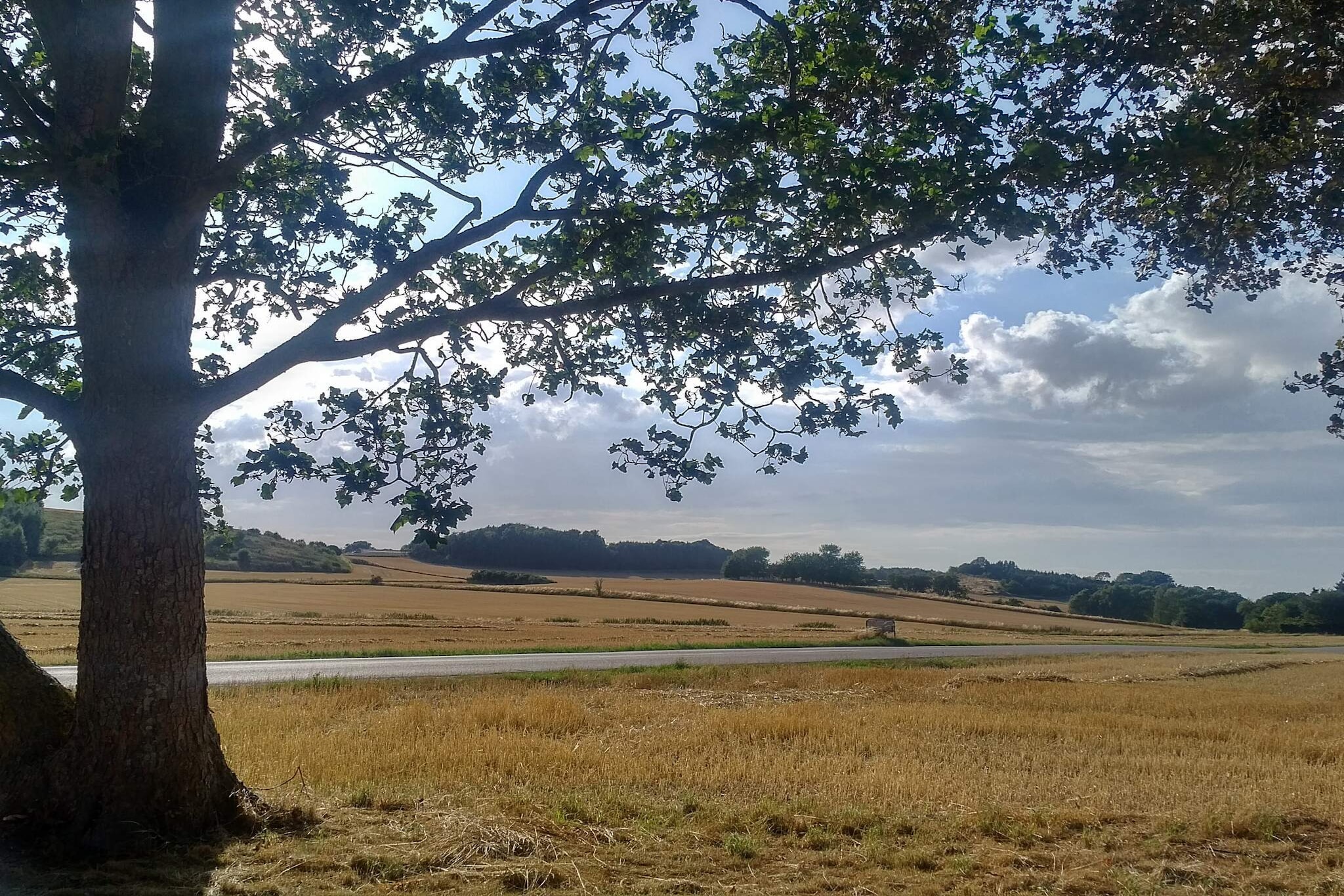 6 person holiday home in Grevinge-By Traum-Untagged