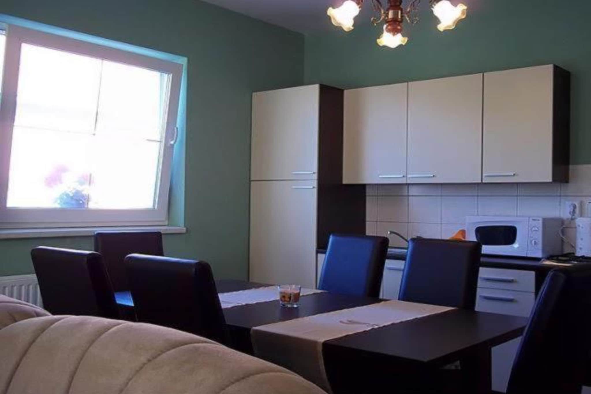 Apartment Čeliković - One Bedroom Apartment with Balcony-Keuken