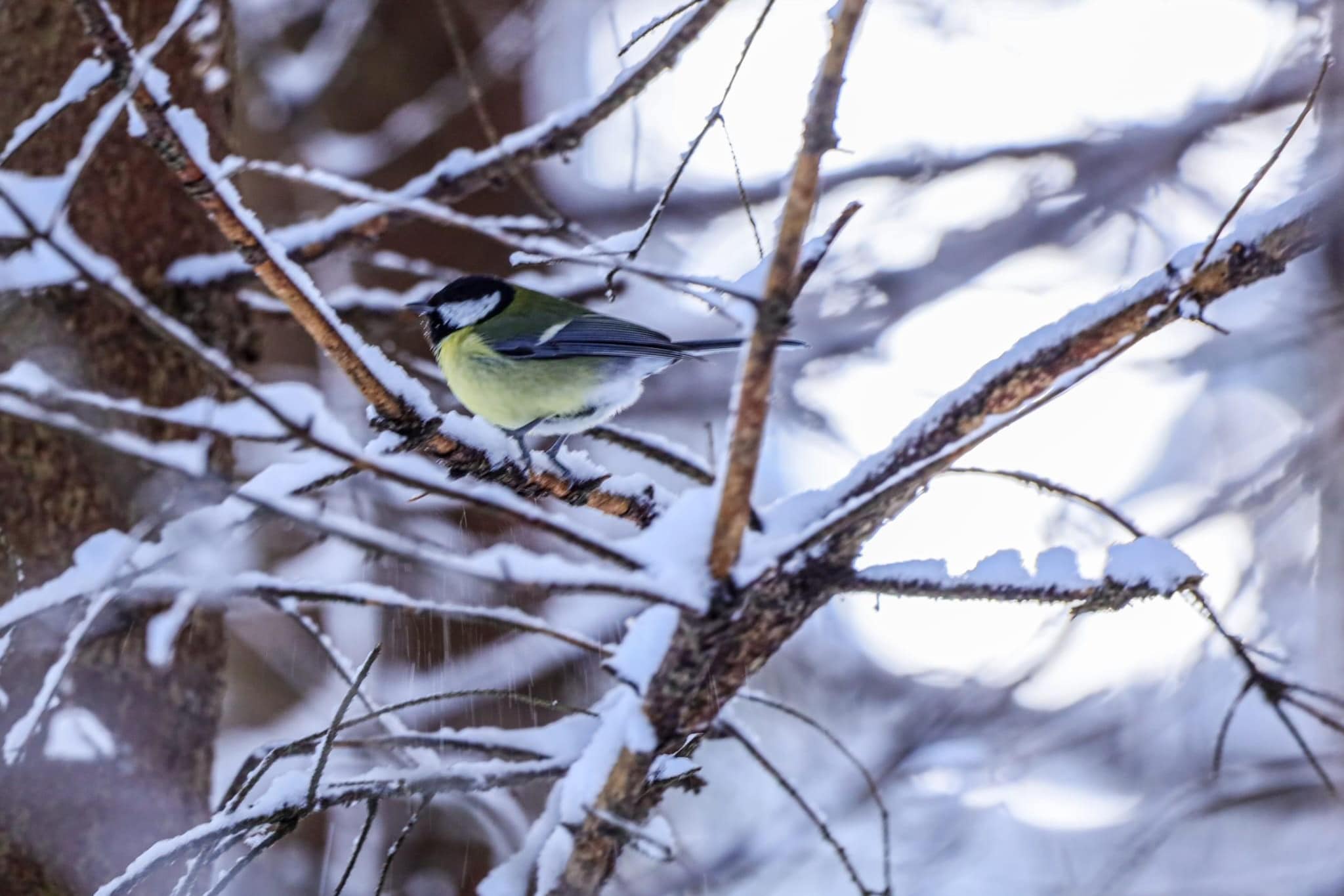 Apartment fein-Ambiance