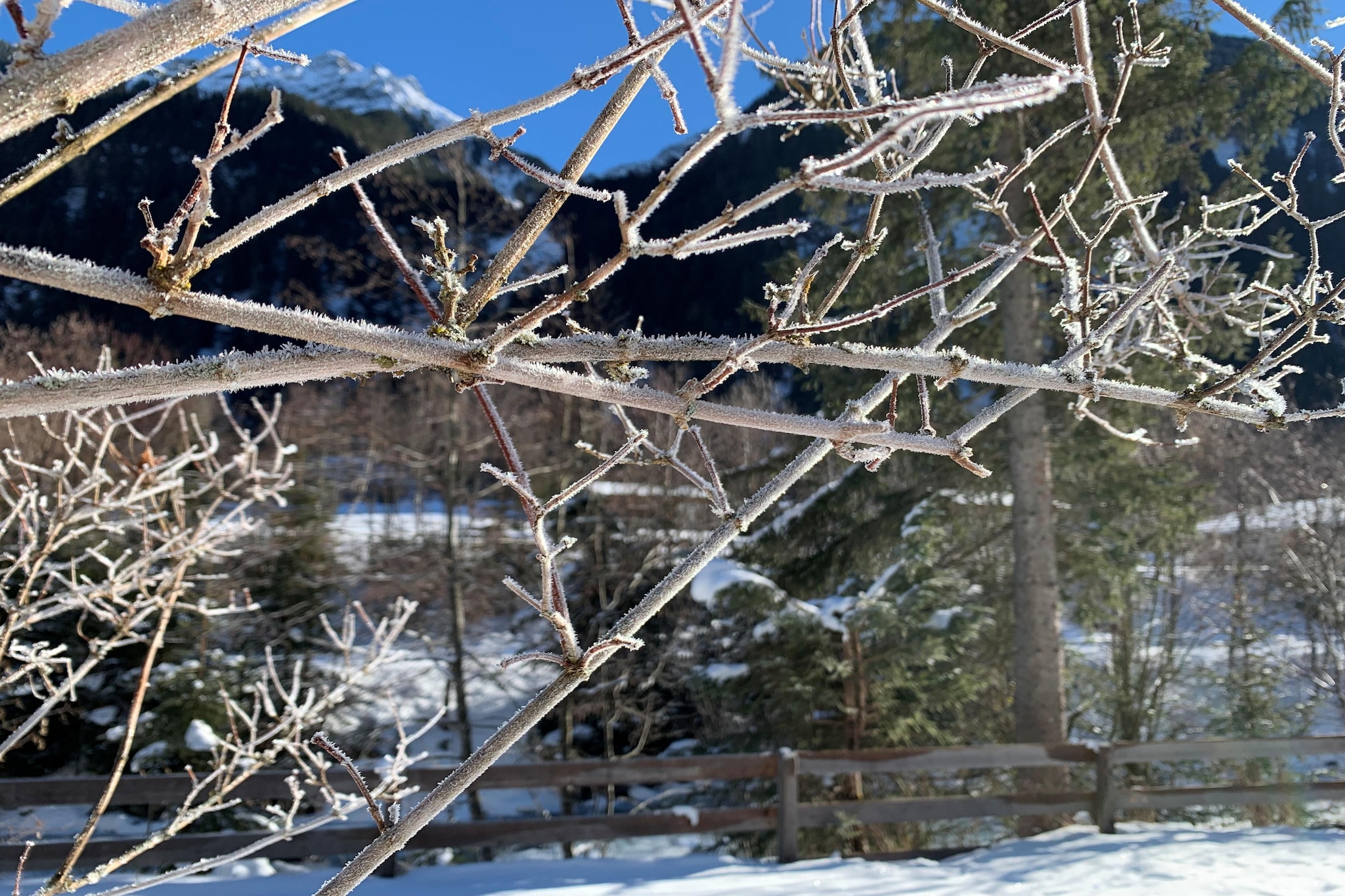 Apartment fein-Garden in winter