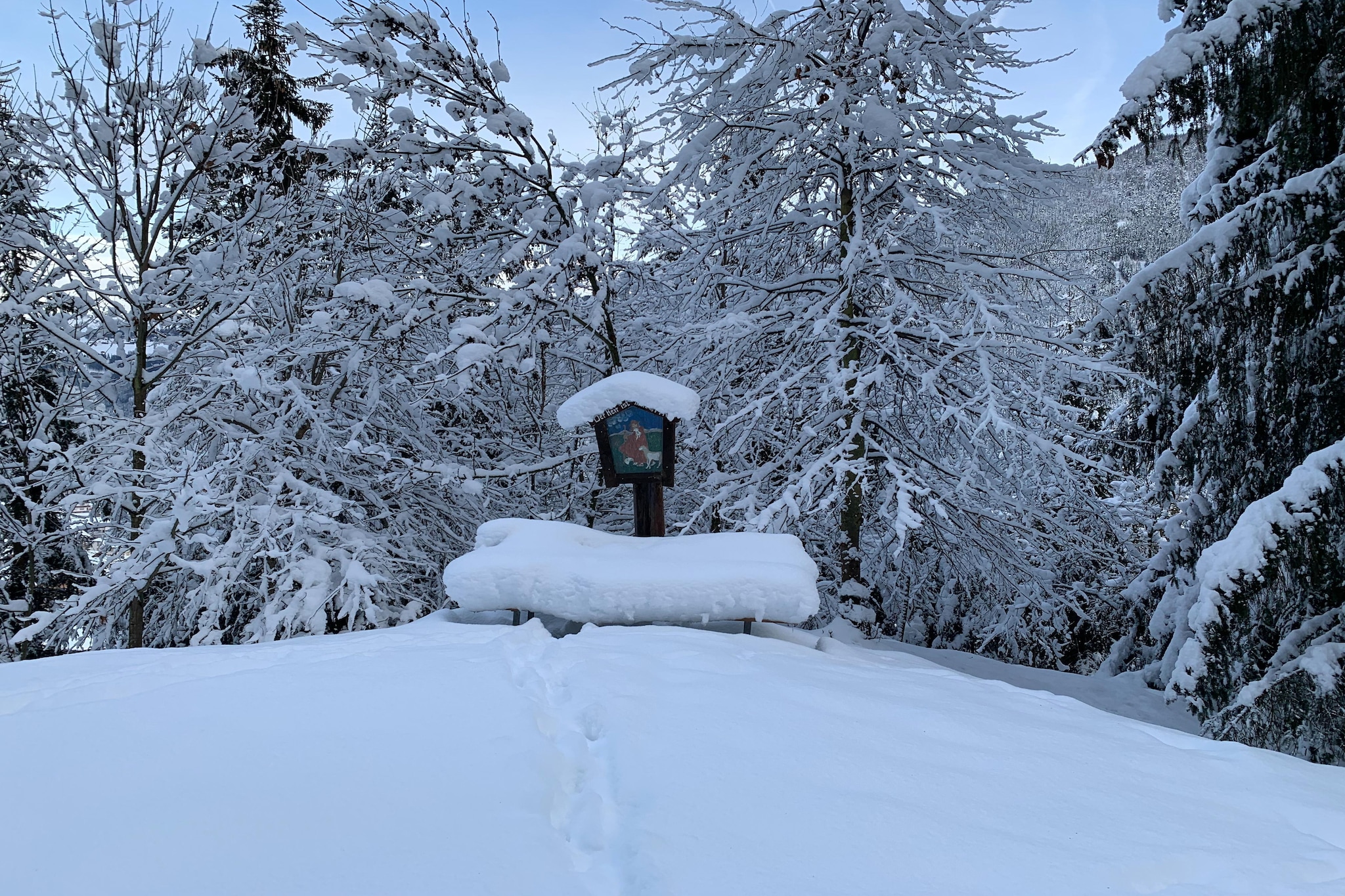 Apartment fein-Garden in winter