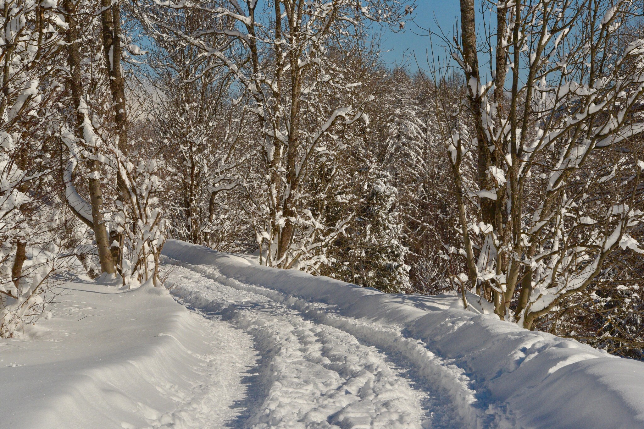 Apartment fein-Area within 1km in winter