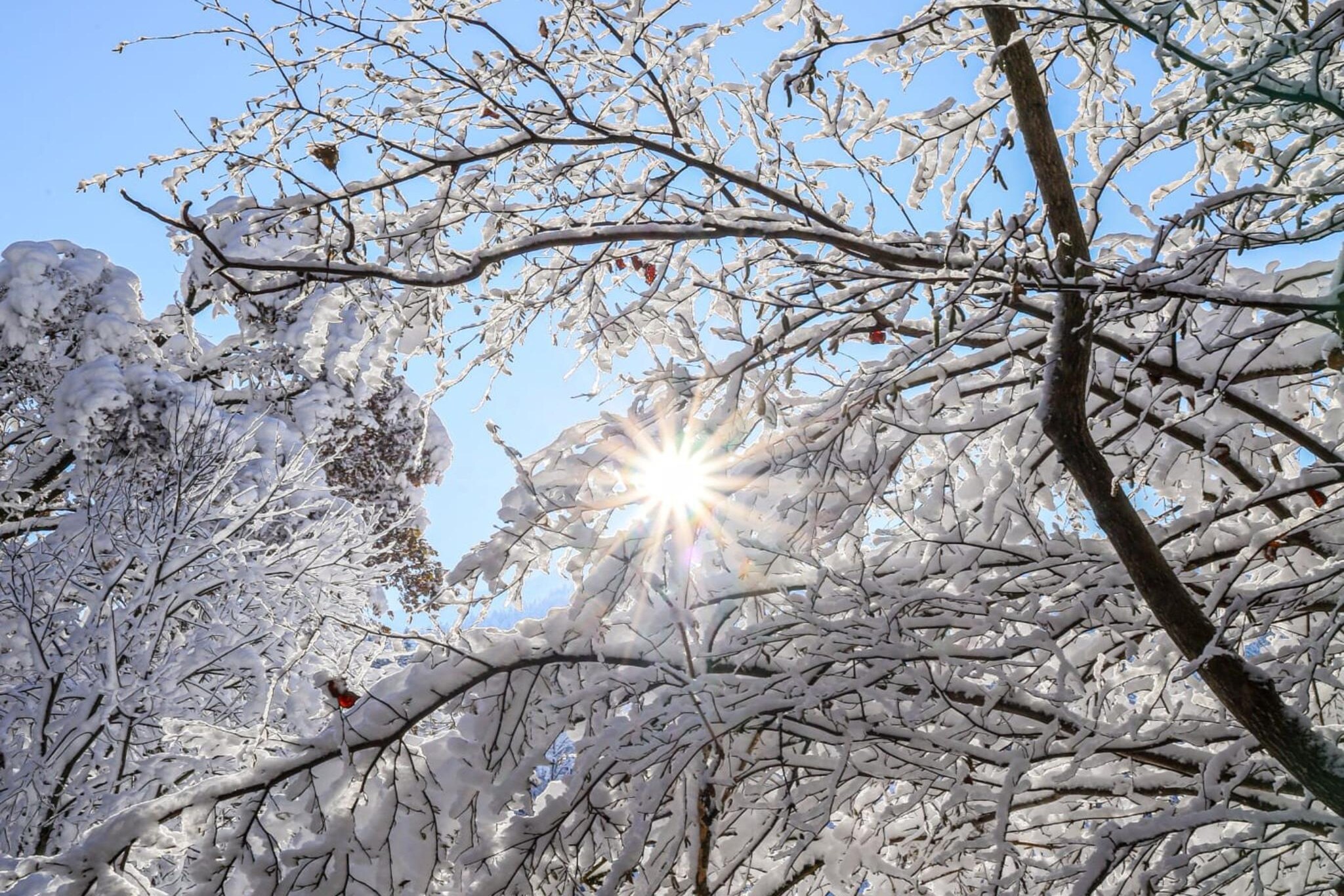 Apartment fein-Garden in winter