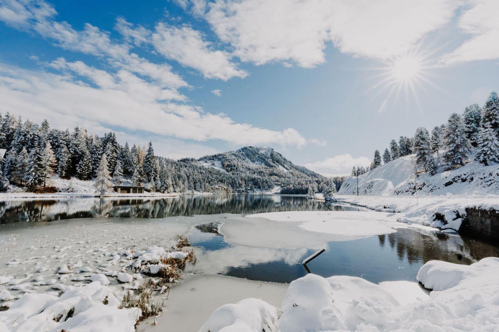 Alpenpark Turrach 33 - Area within 5km in winter