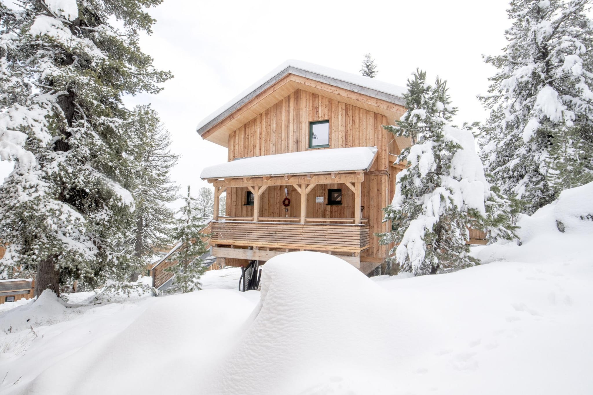 Alpenpark Turrach 33 - Exterior in winter